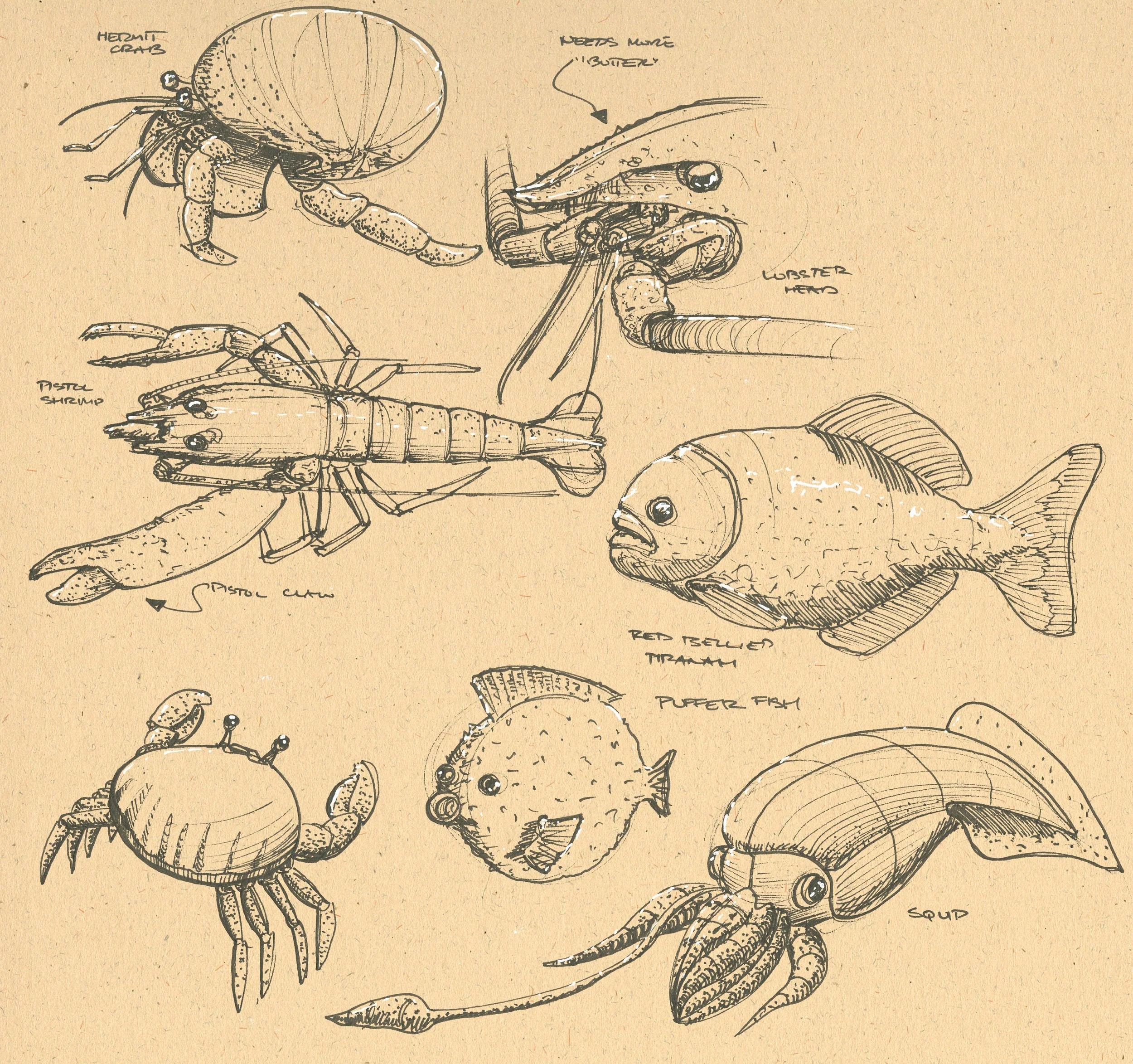 Marine life sketches.