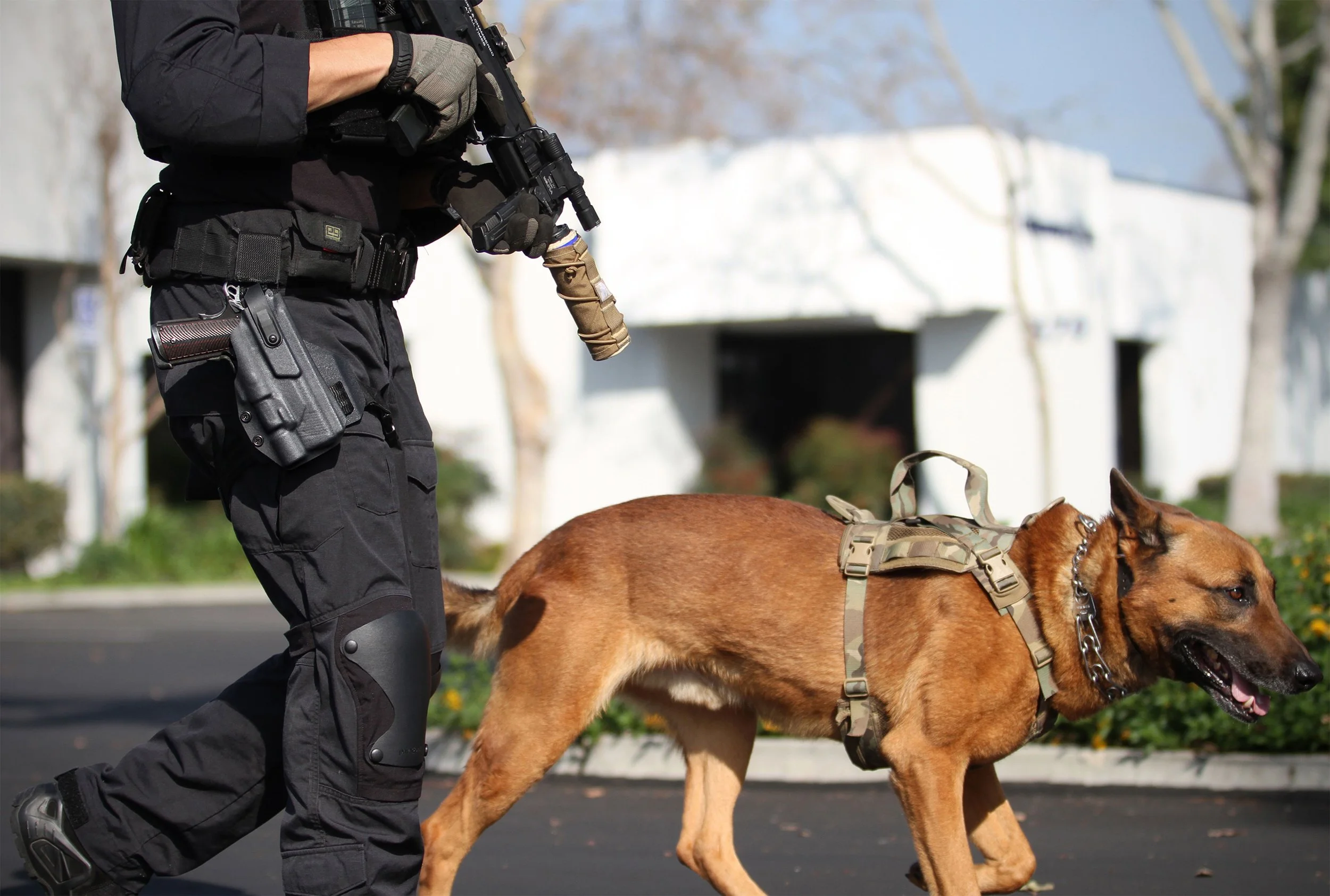 EDO K9 Harness