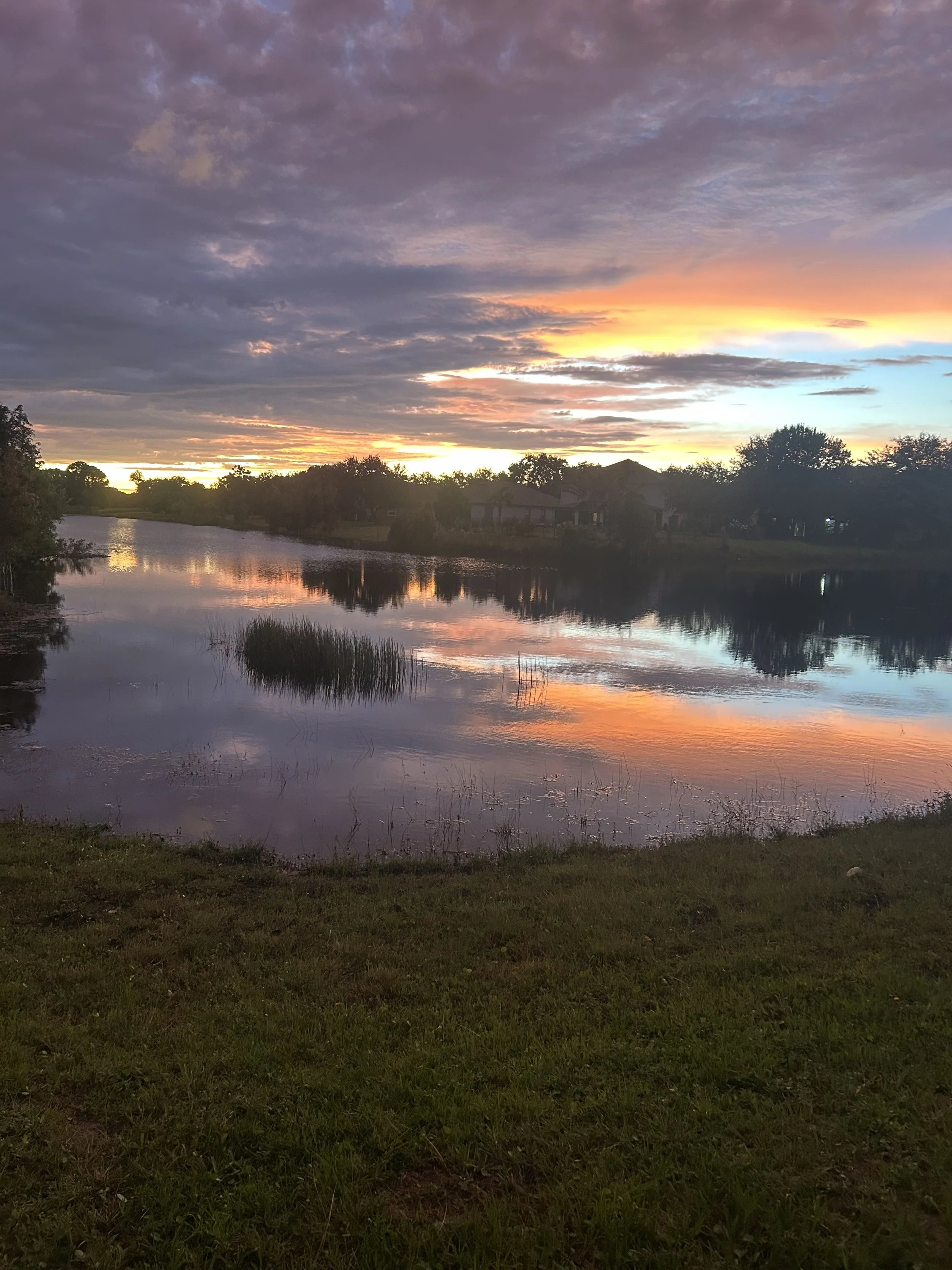 A scenic lake at sunset with colorful clouds in the sky, surrounded by trees and houses, with reflections on the water.