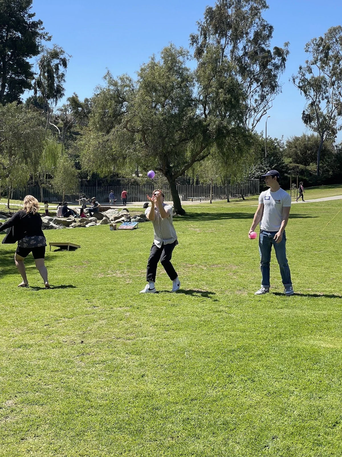 People playing with balloons in a park on a sunny day.