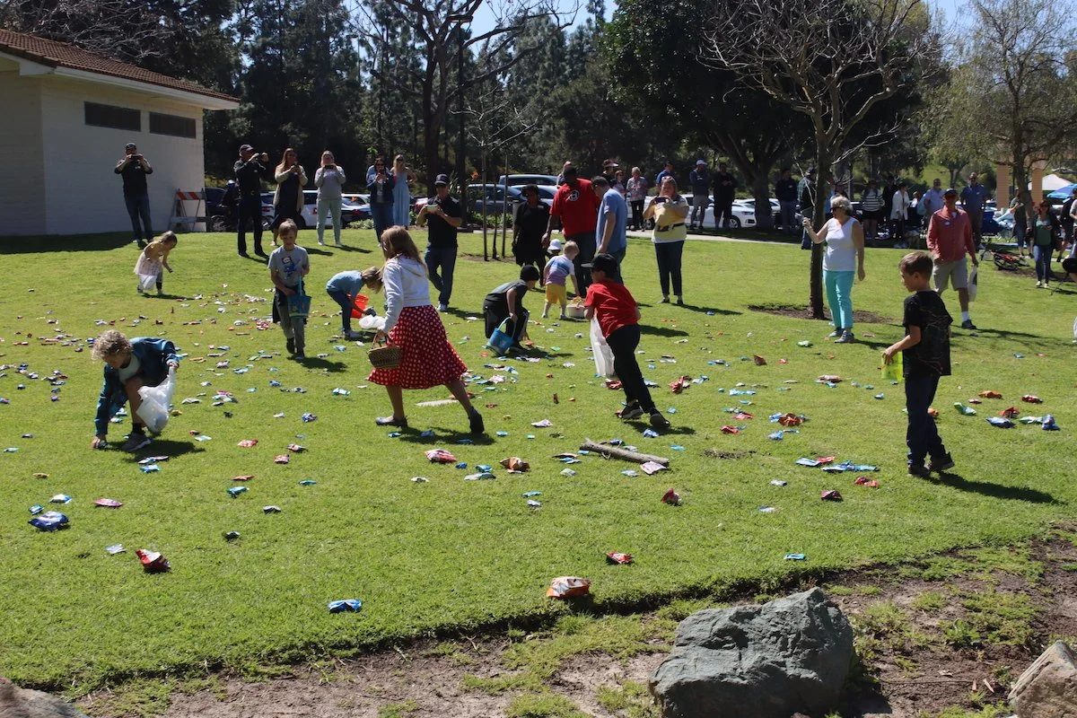 image51.jpg