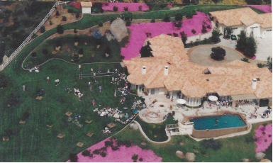 Aerial view of a large estate with a house, swimming pool, manicured lawn, and colorful flower beds, surrounded by trees and landscaped gardens.
