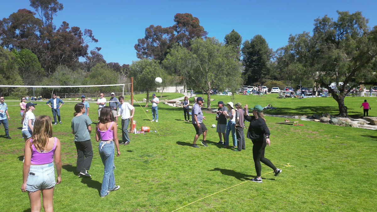 People playing outdoor volleyball on a sunny day in a park with green grass, trees, and a clear blue sky.