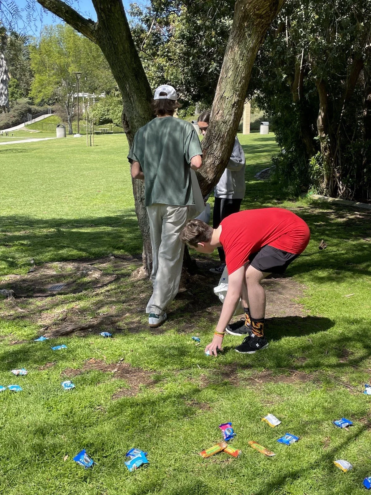 Multiple young people gather under a tree in a park, with one person picking up candy wrappers from the grass.