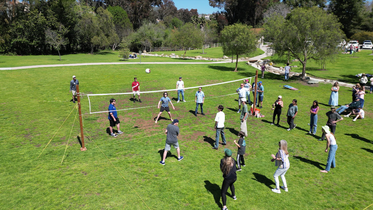 People gathered in a park playing volleyball and watching the game, with trees, grass, and a paved path in the background.