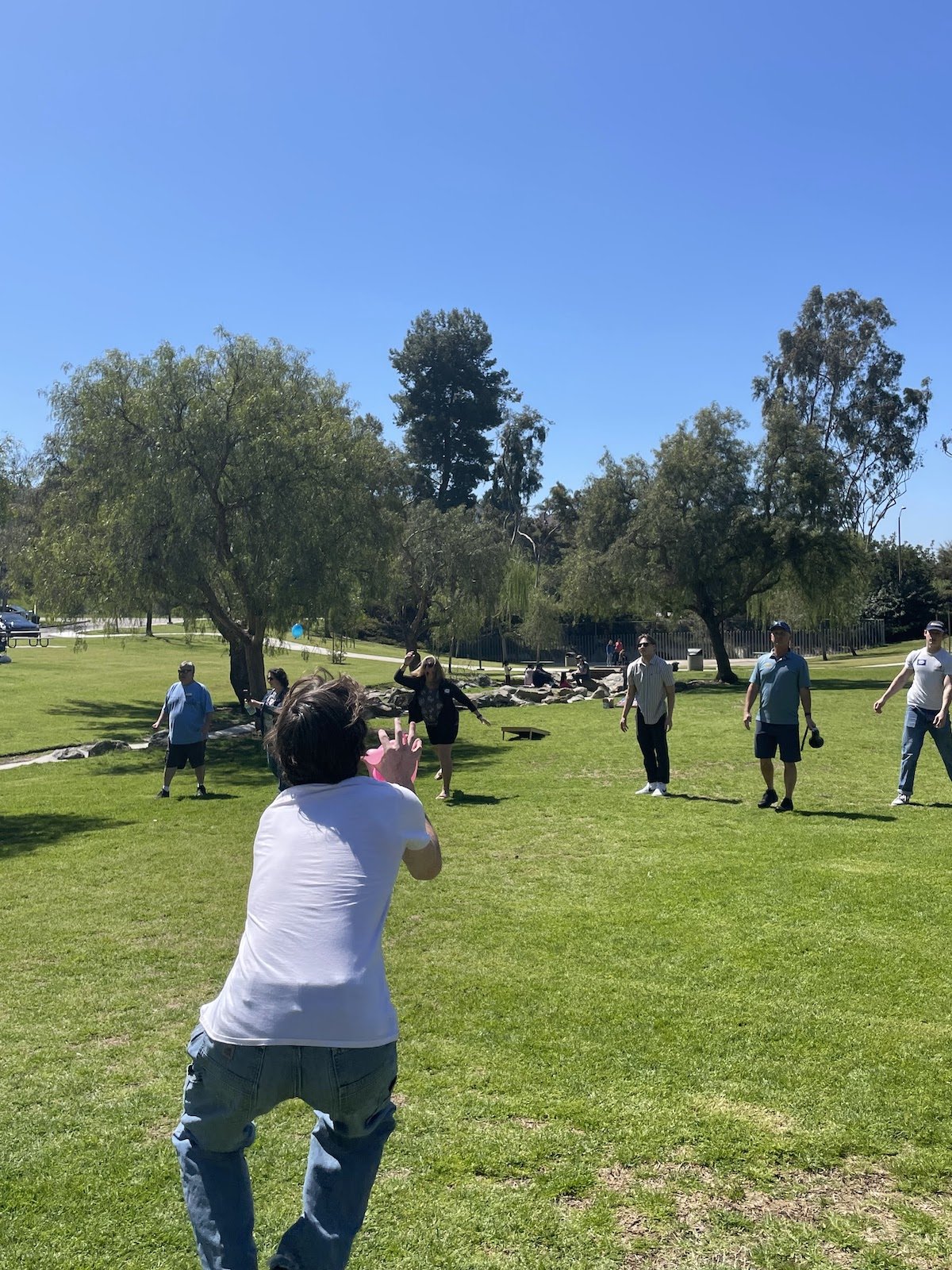 People playing a game of catch in a park with green grass, trees, and a blue sky.
