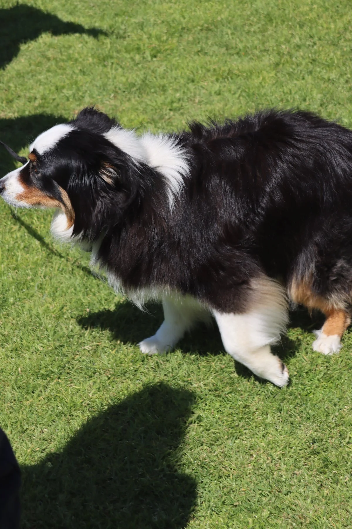 image106.jpg