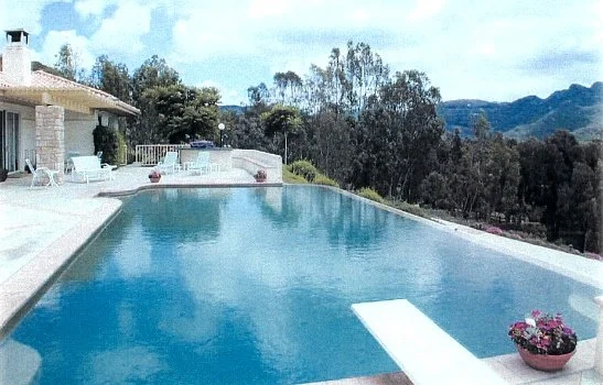 An outdoor swimming pool with a diving board, surrounded by a patio with lounge chairs and potted plants, overlooking a hilly landscape with trees and mountains in the background.