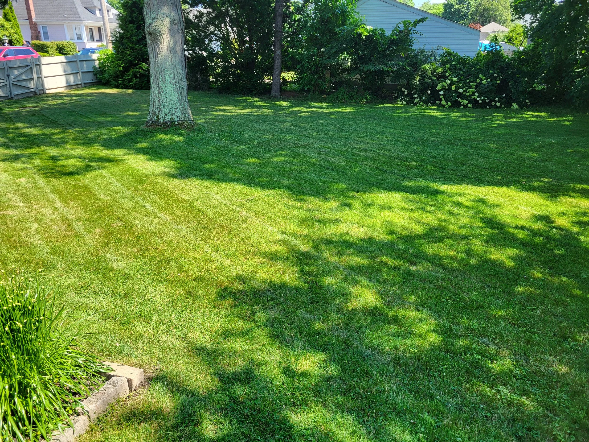 A backyard with a well-maintained grassy lawn, a tree with a shadow cast on the grass, bushes, a house in the background, and a wooden fence on the left side.