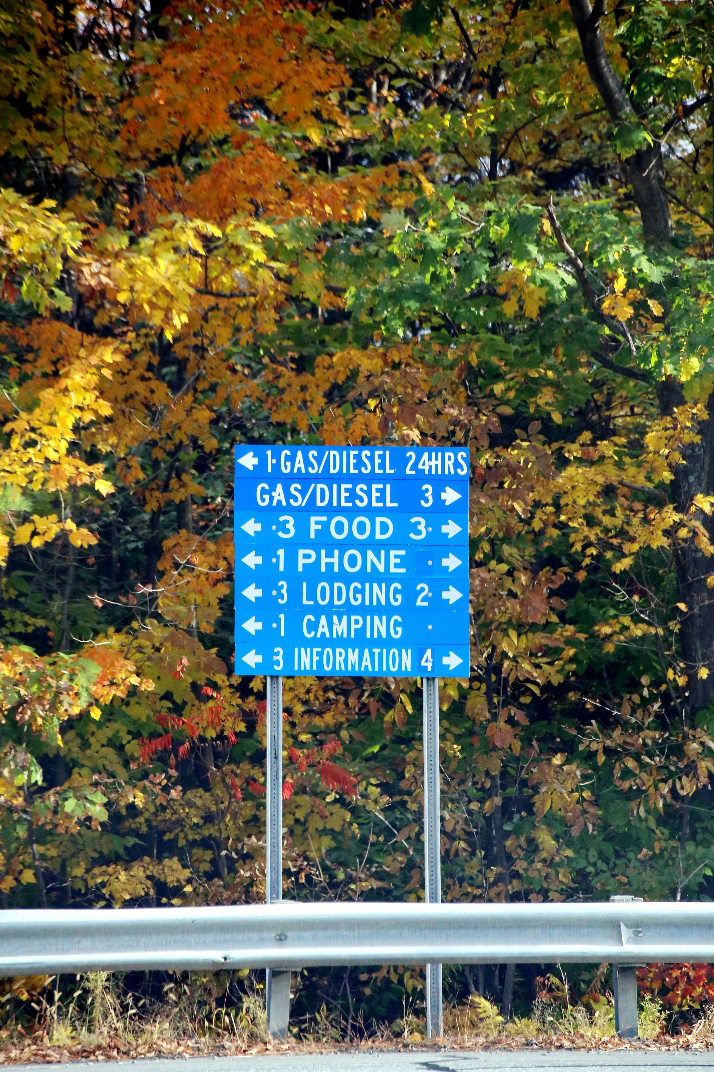 Locational Data and the Public Interest