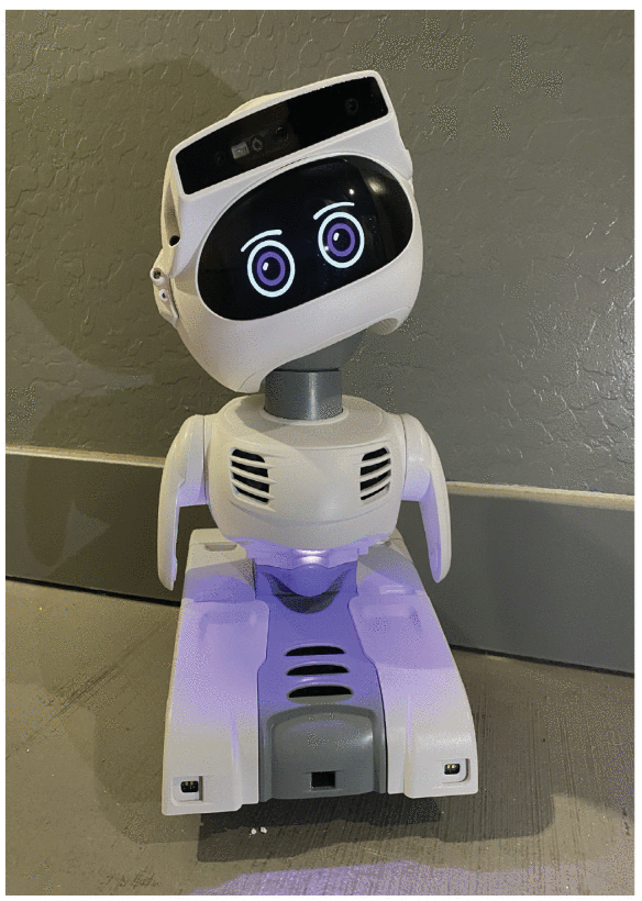 Exploring Social Robots for Healthy Older Adults: Aging With Companionship