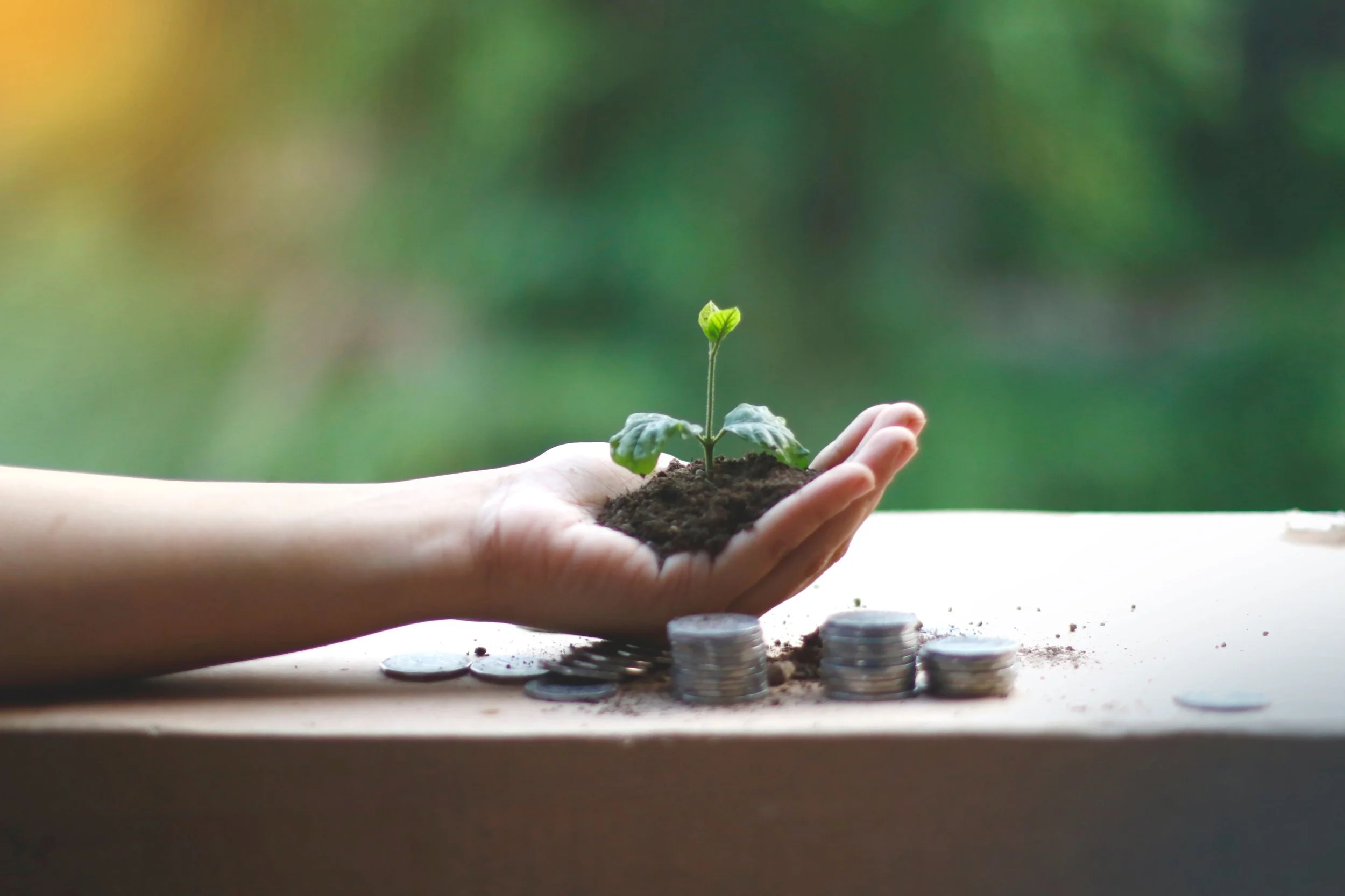Social and Economic Sustainability