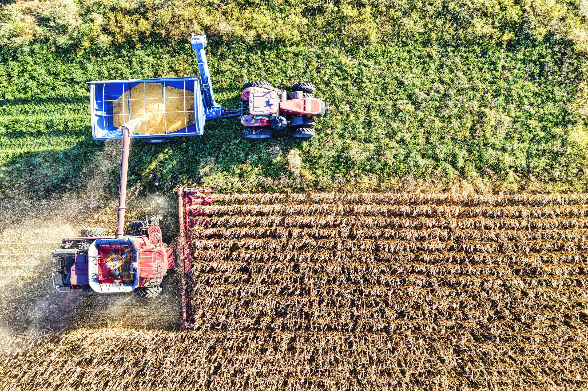 Safeguarding the guardians to safeguard the bio-economy and mitigate social injustices