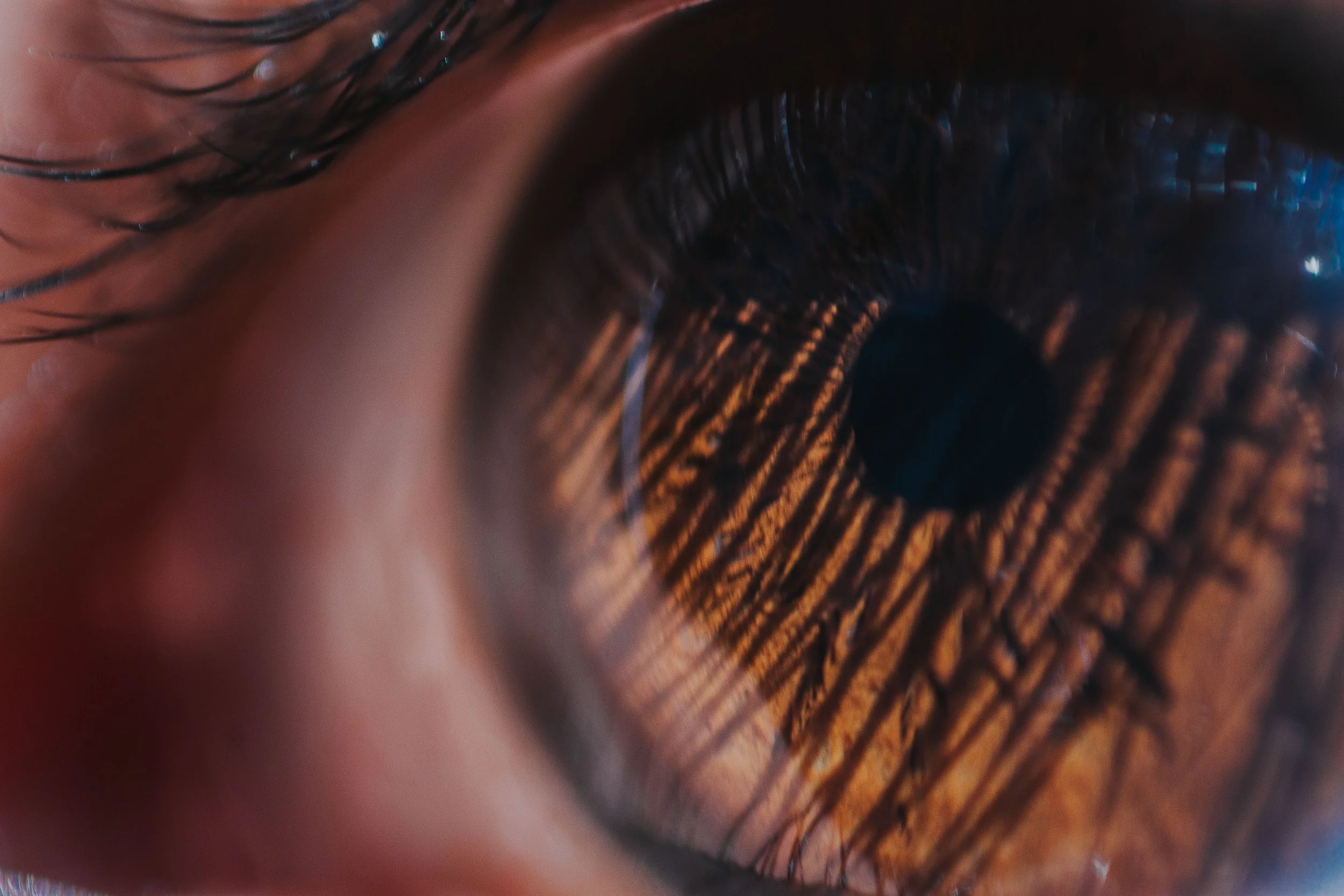 Seeking the biometric bill of rights