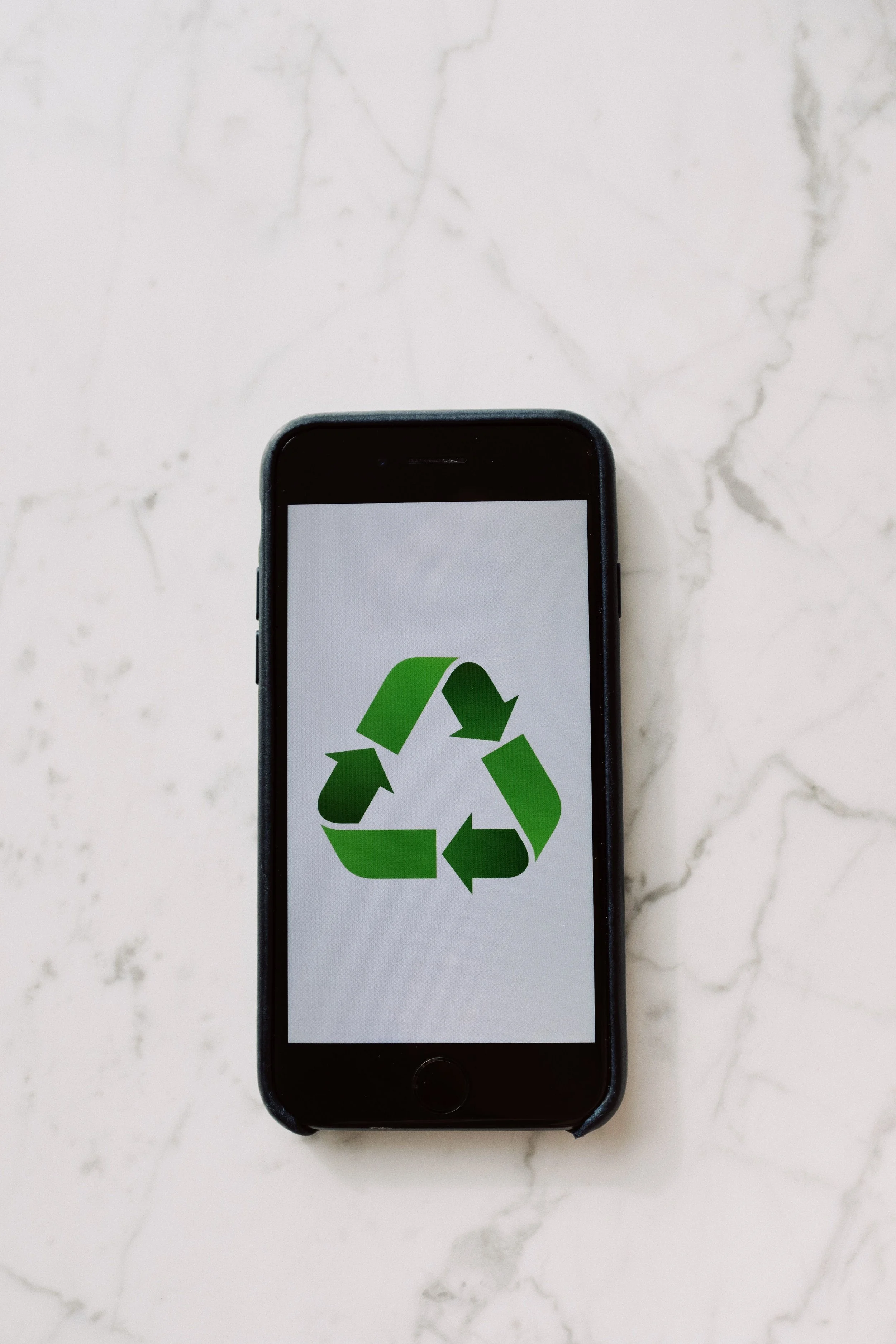 Technology, IS and Sustainability: A Public Interest Research Agenda