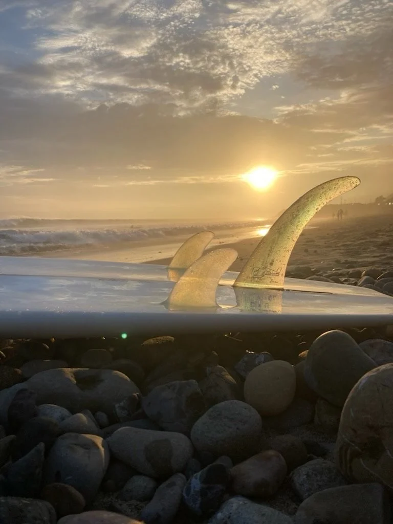 A surfboard resting on rocks on a beach at sunset, with a whale's dorsal fins protruding from the surfboard, against a cloudy sky and ocean backdrop.