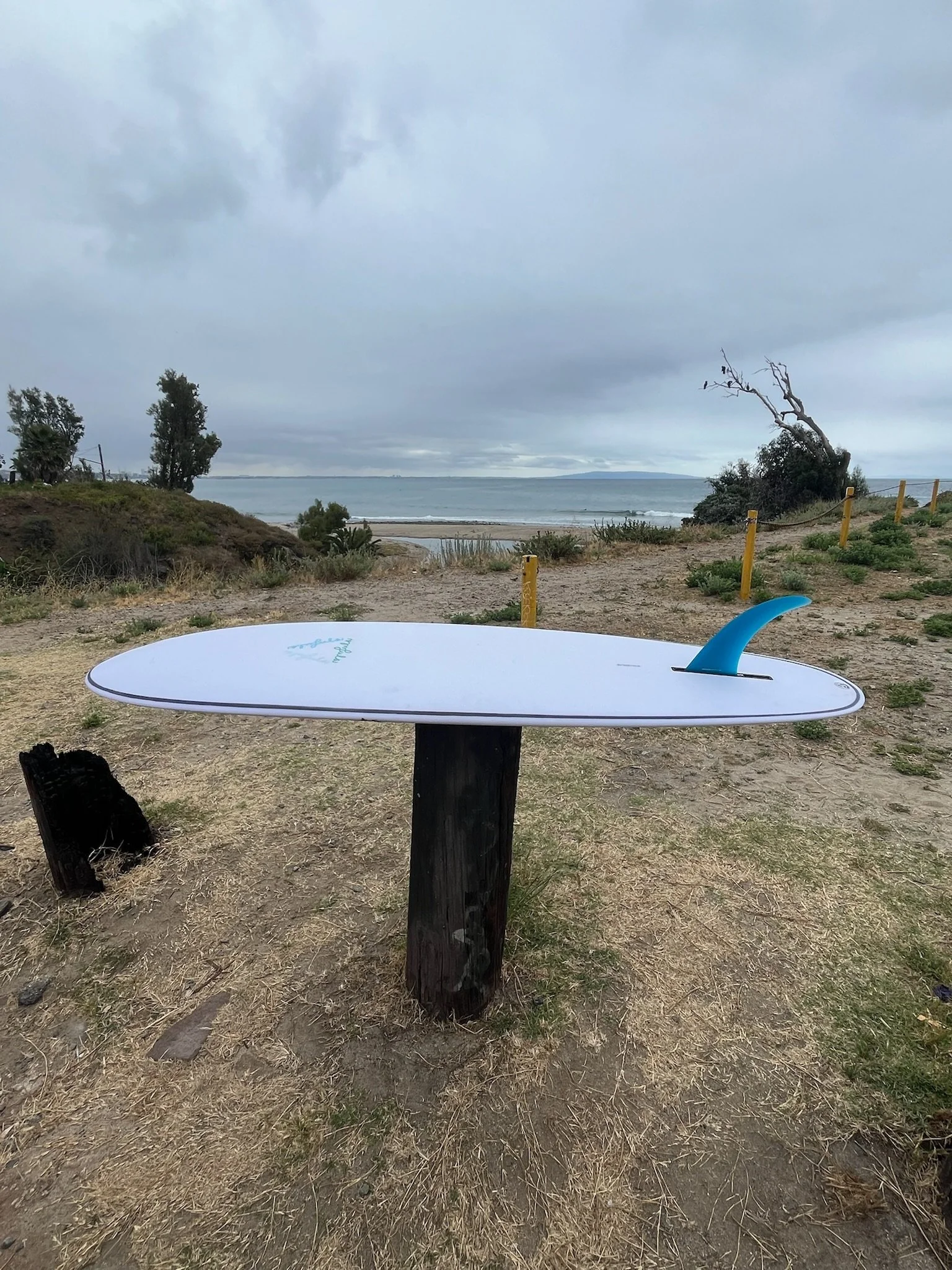 A beach scene with a cloudy sky, plants, and a surfboard with a blue fin resting on a wooden post in the foreground.