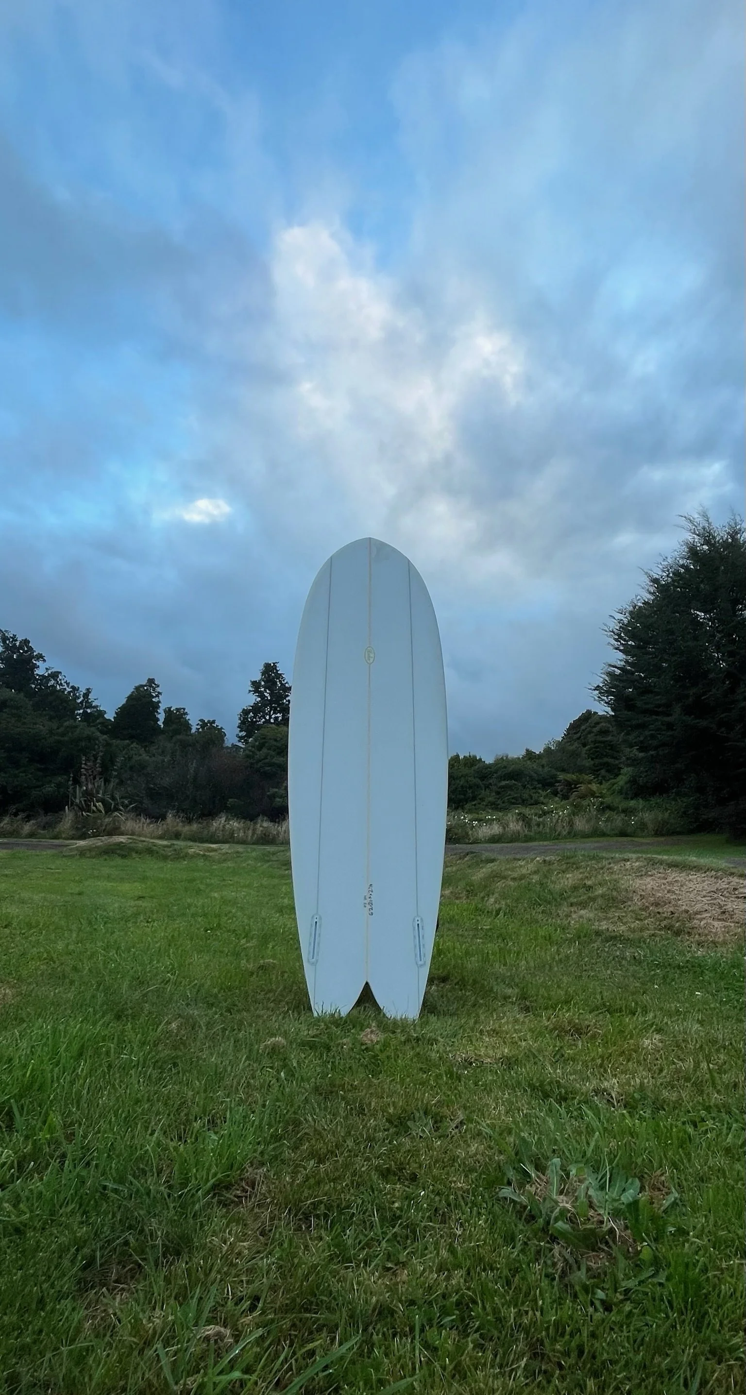 A white surfboard standing upright on a grassy field with trees in the background under a partly cloudy sky.