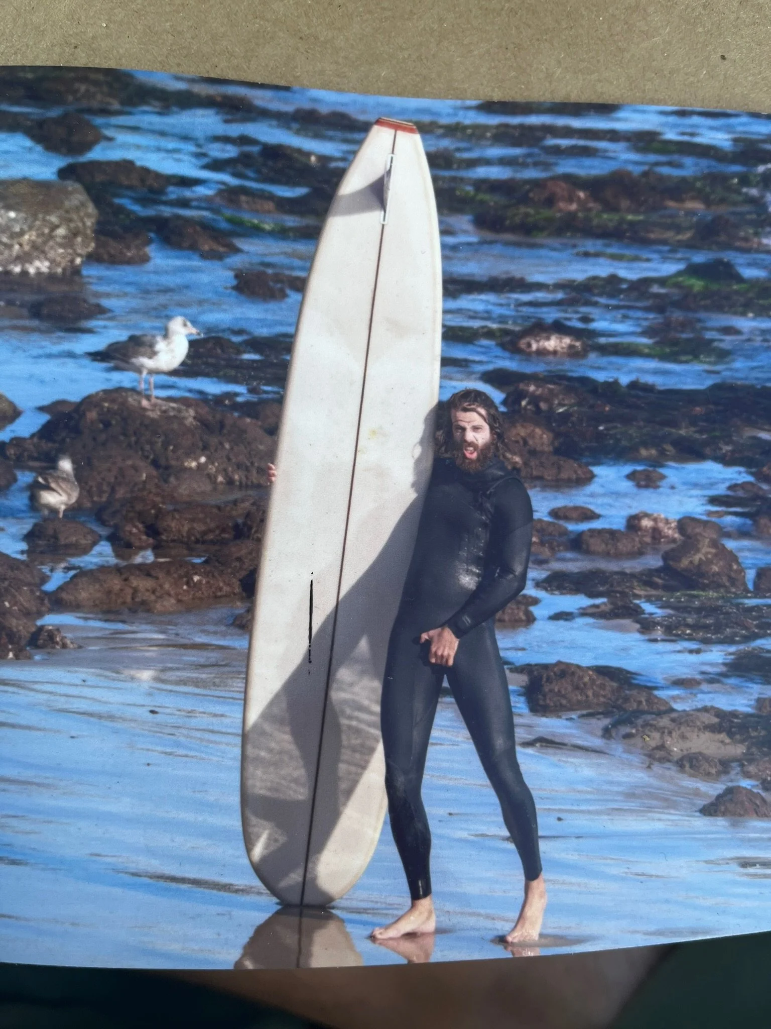 A person in a wetsuit standing on a rocky beach holding a surfboard upright in the water, with seagulls nearby and rocks in the background.