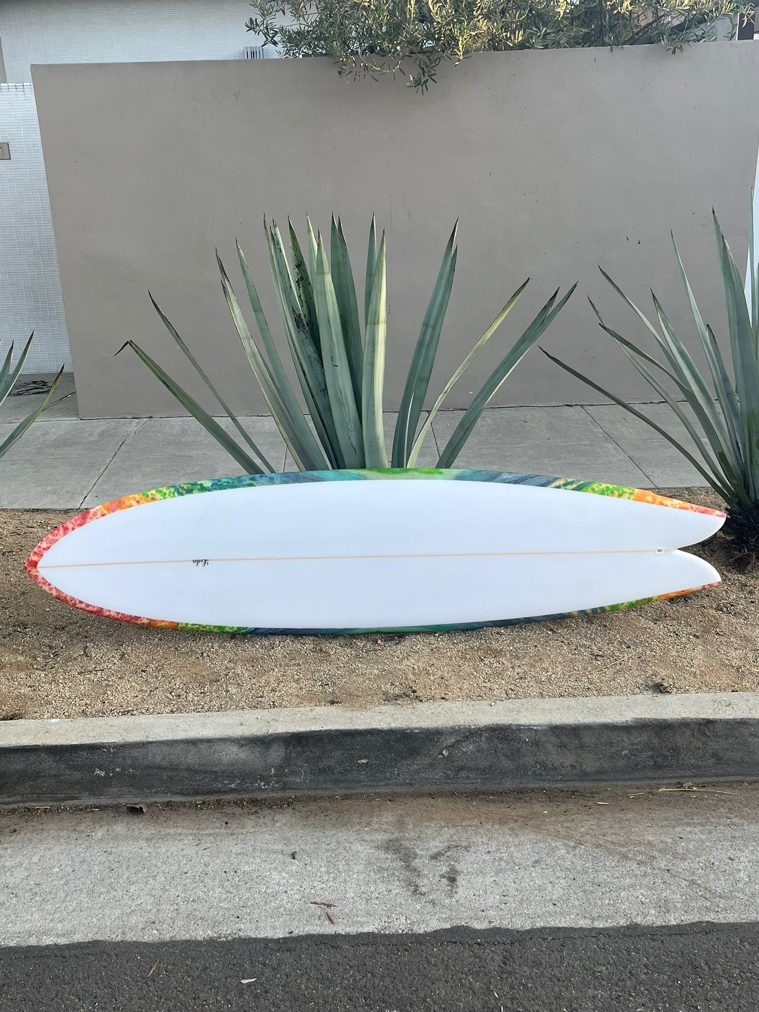 A white surfboard with a colorful border laying on the ground in front of tall green plants with long, pointed leaves. A white wall and a tree are in the background.