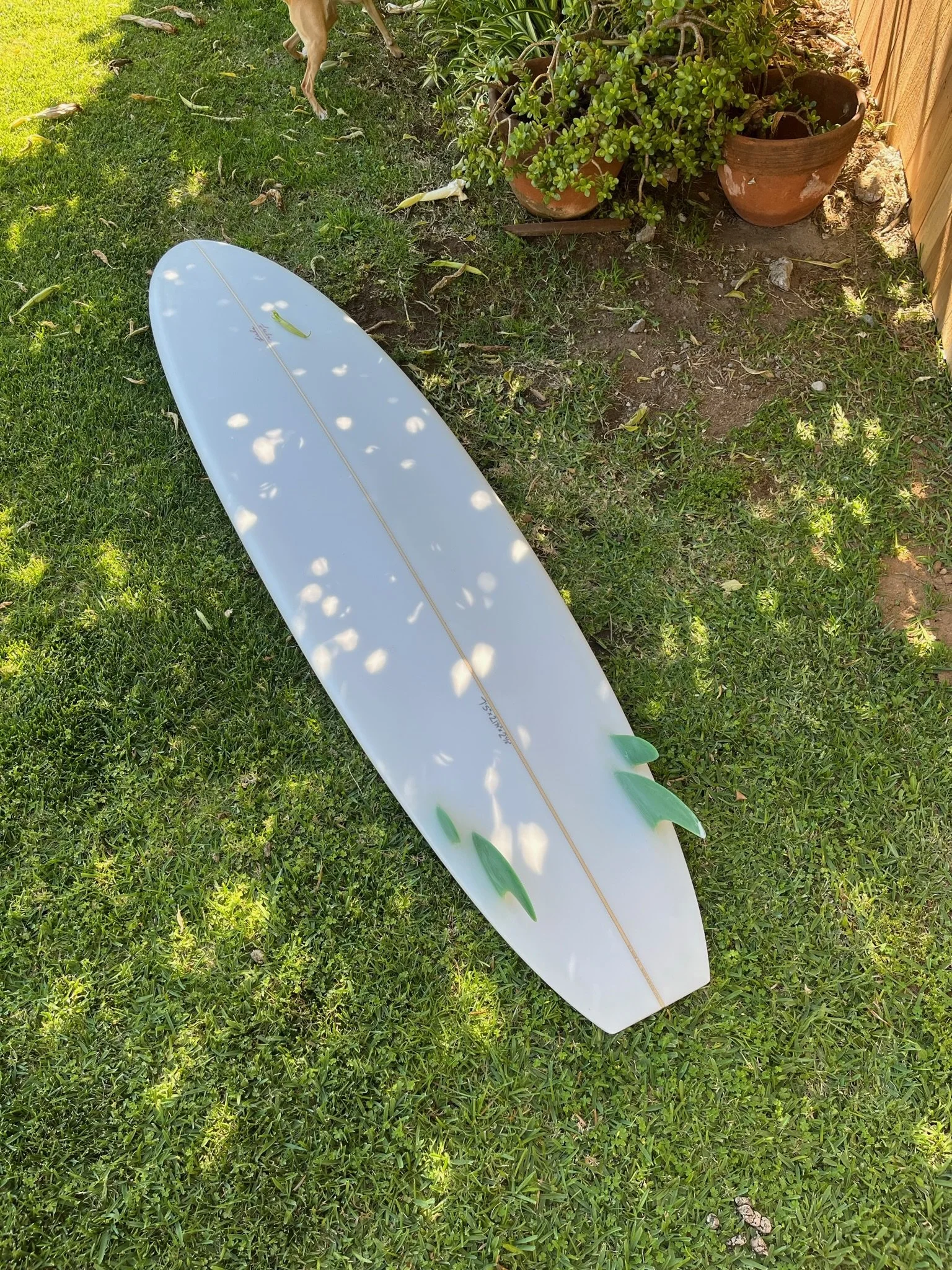 A white surfboard with green fins lying on green grass next to potted plants against a wooden fence. Sunlight and shadows create a dappled effect.