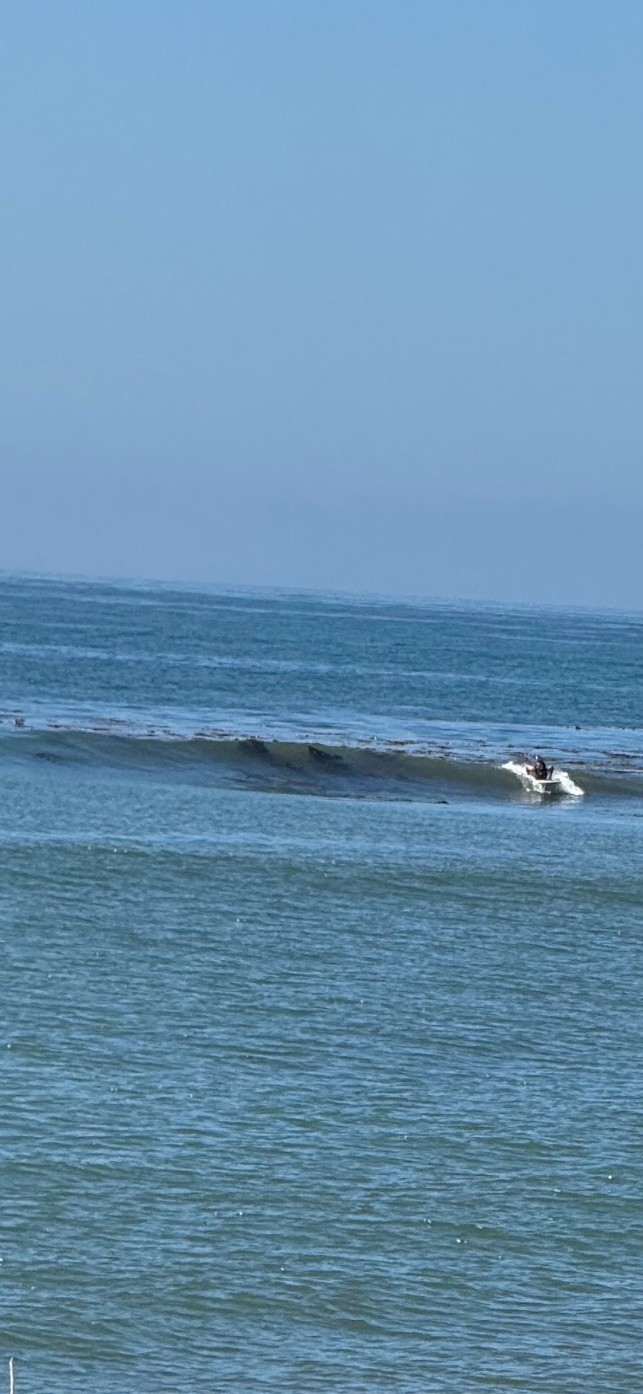A person riding a surfboard on the ocean with small waves and a clear blue sky.