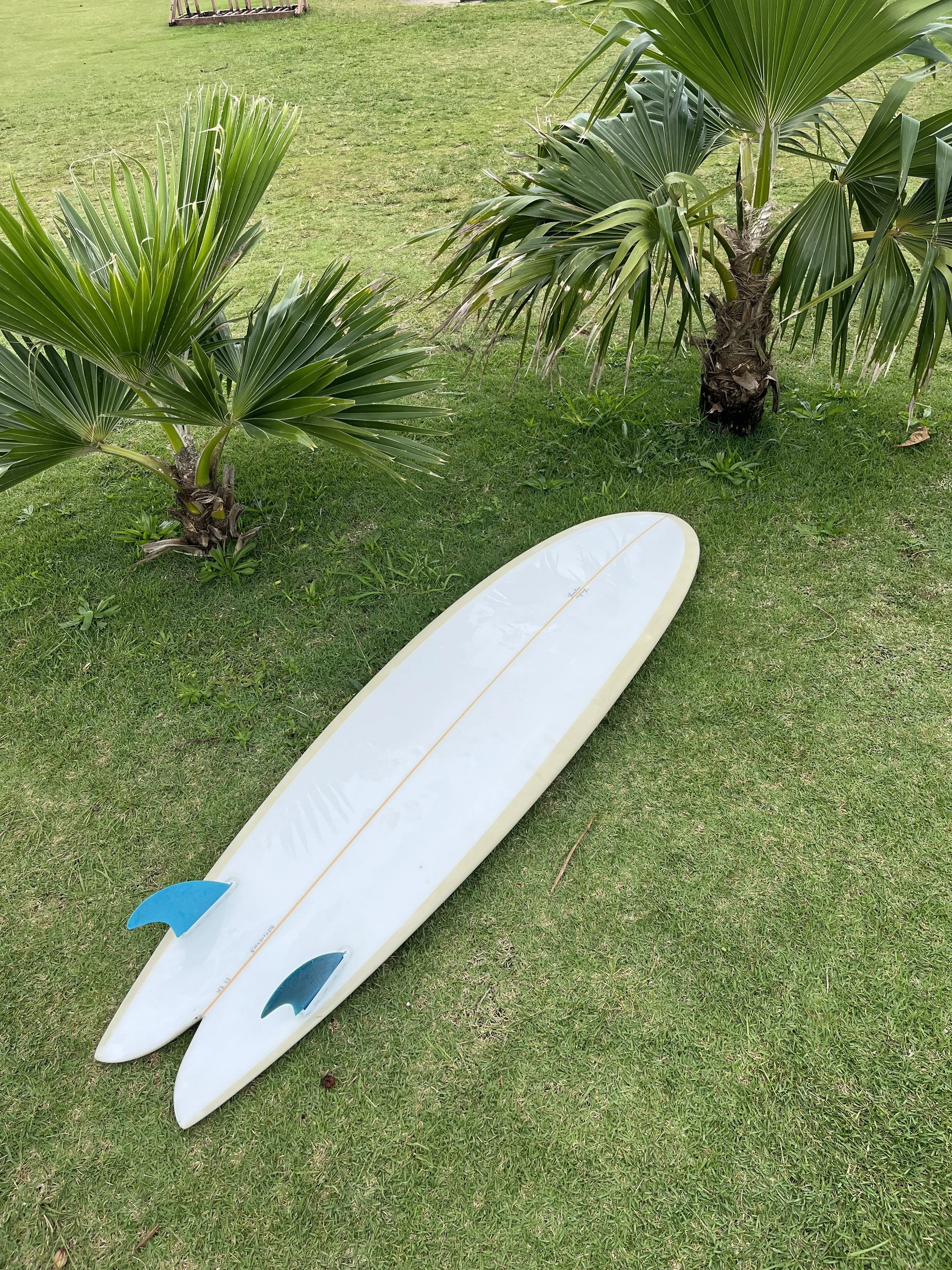 A white surfboard with blue fins on green grass near two palm trees.