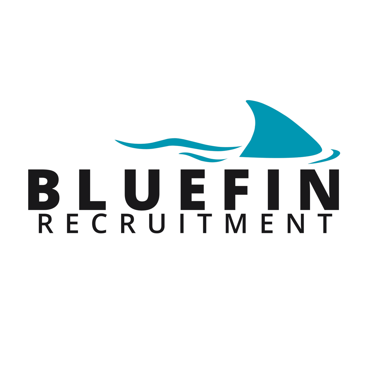 BlueFin Recruitment