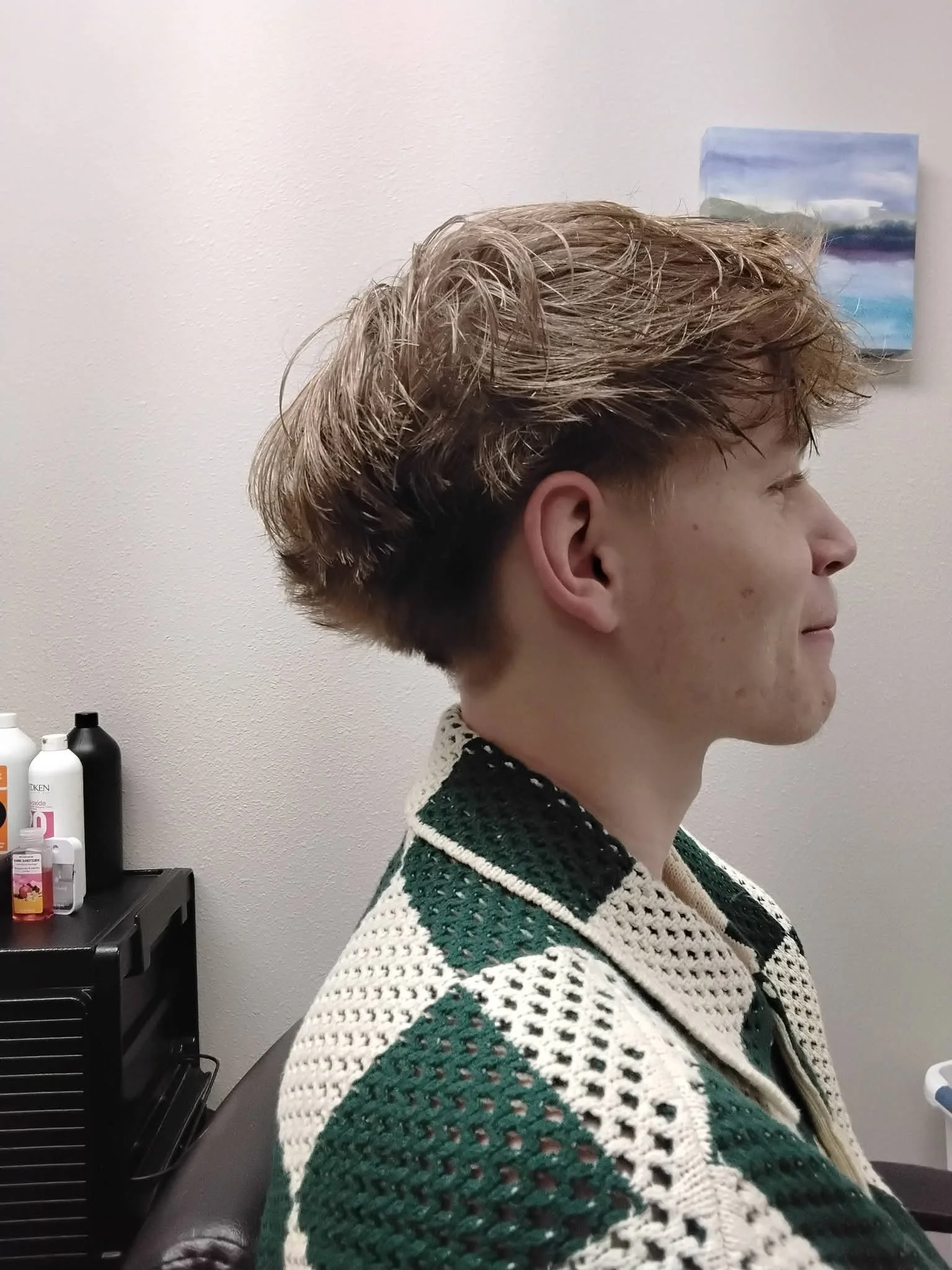 A person with short, wavy light brown hair sitting in profile view against a white wall, wearing a green and white knit sweater with a patterned texture, with bottles on a black piece of furniture nearby and a blue and gray painting on the wall.