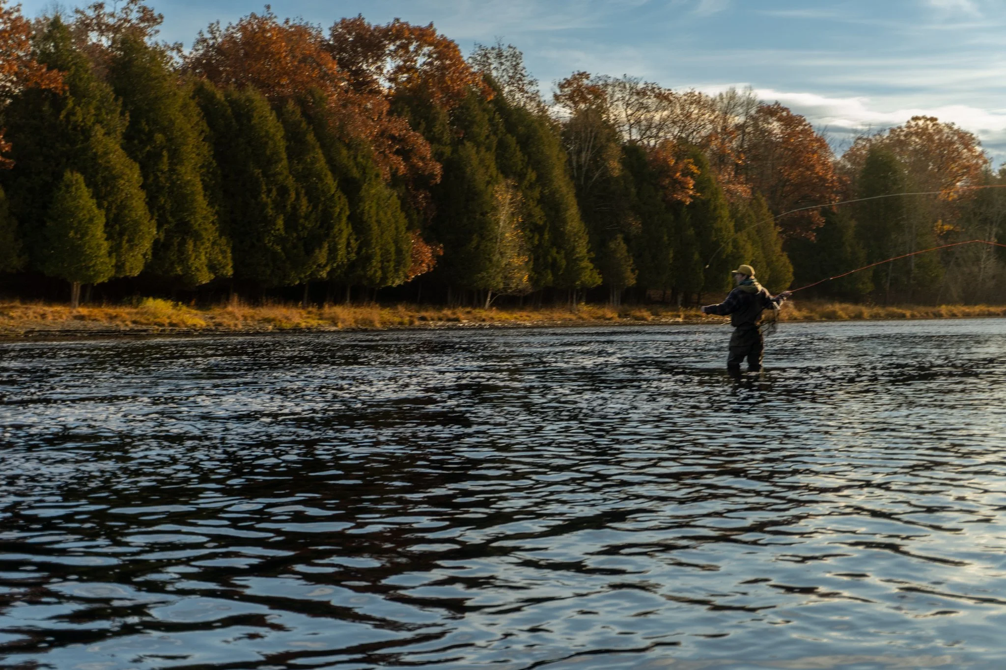A person in a jacket, hat, and face mask fishing in a river with rippling water, surrounded by trees with autumn-colored leaves in the background.