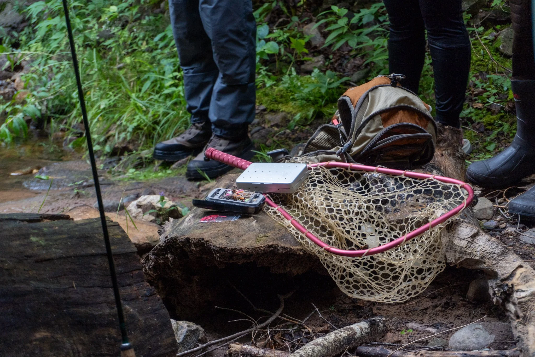 People standing outdoors in a forested area near a stream, with fishing gear and a tackle box placed on a fallen log.