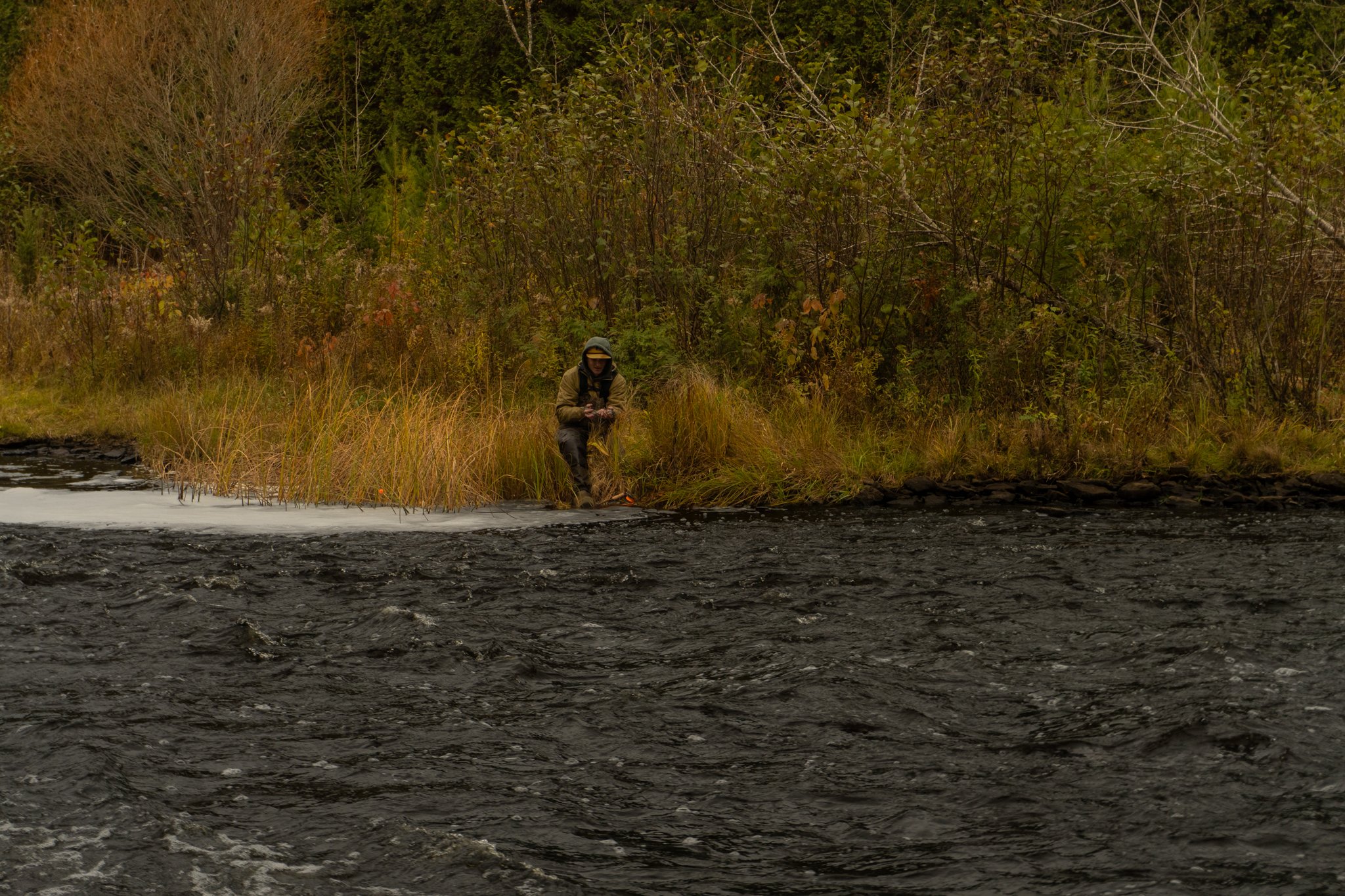 Person in outdoor gear crouching near the edge of a river, surrounded by dense autumn foliage.