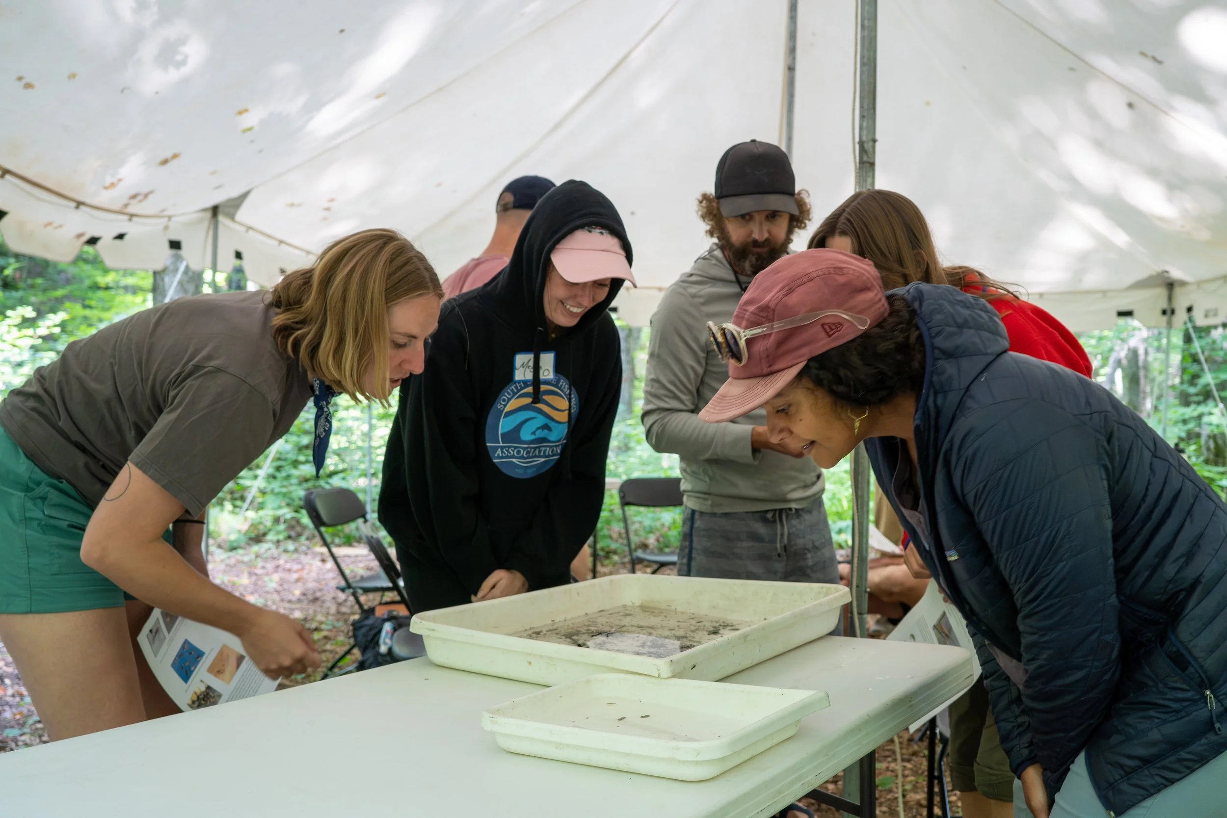 Group of people examining aquatic bugs at an outdoor research or educational event under a white canopy tent in a wooded area.
