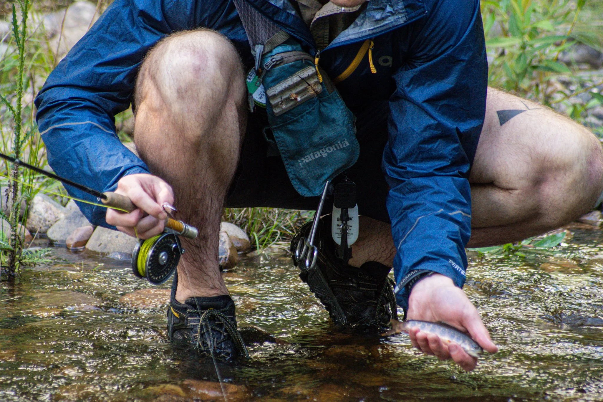 A person wearing a blue Patagonia jacket and shorts, kneeling in a shallow stream, holding a small fish in their hand, with fishing gear including a reel and a tackle box hanging from their waist.