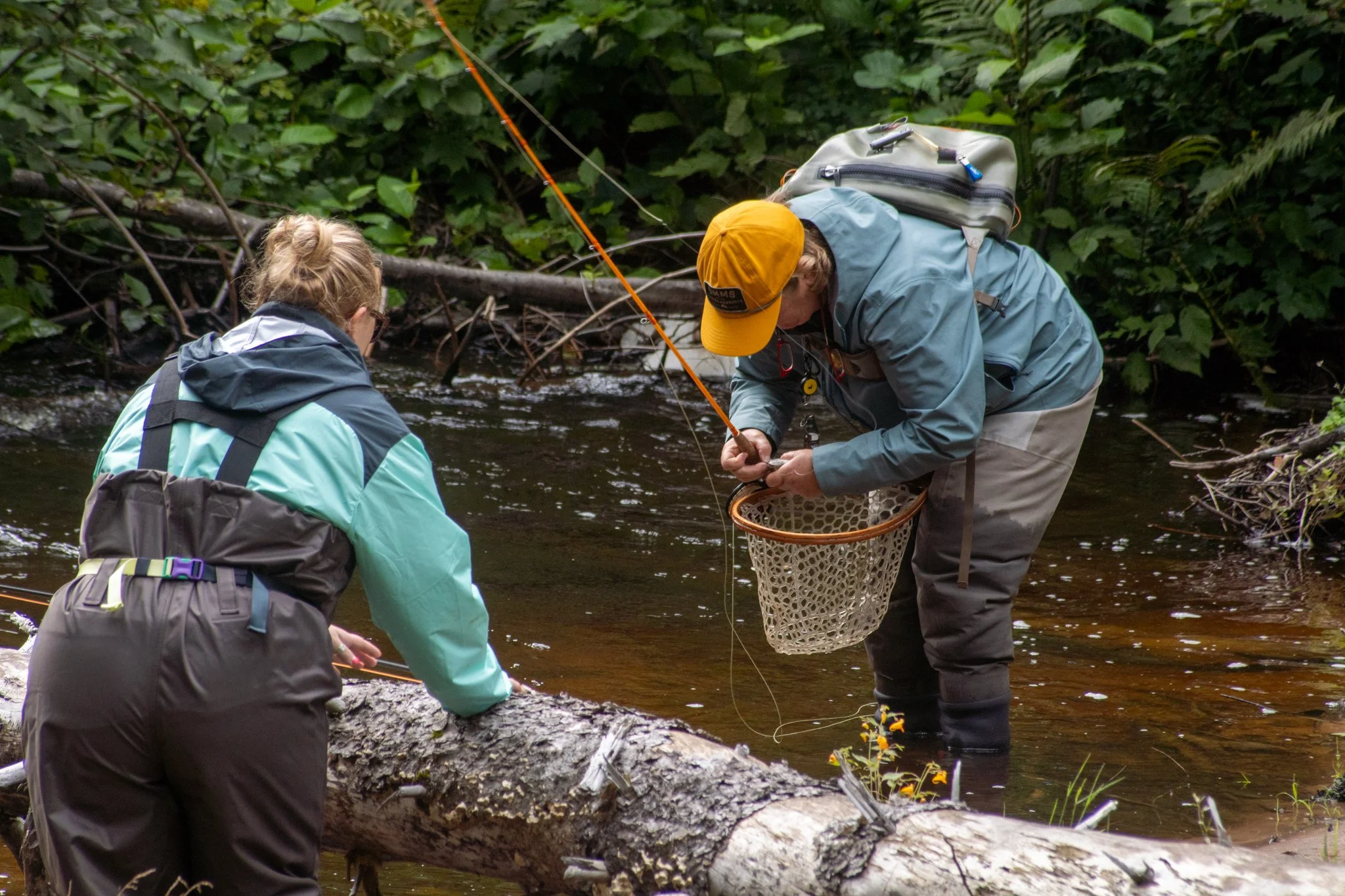 Two people in outdoor gear fishing in a river surrounded by dense green foliage, with one person holding a fishing net in the water.