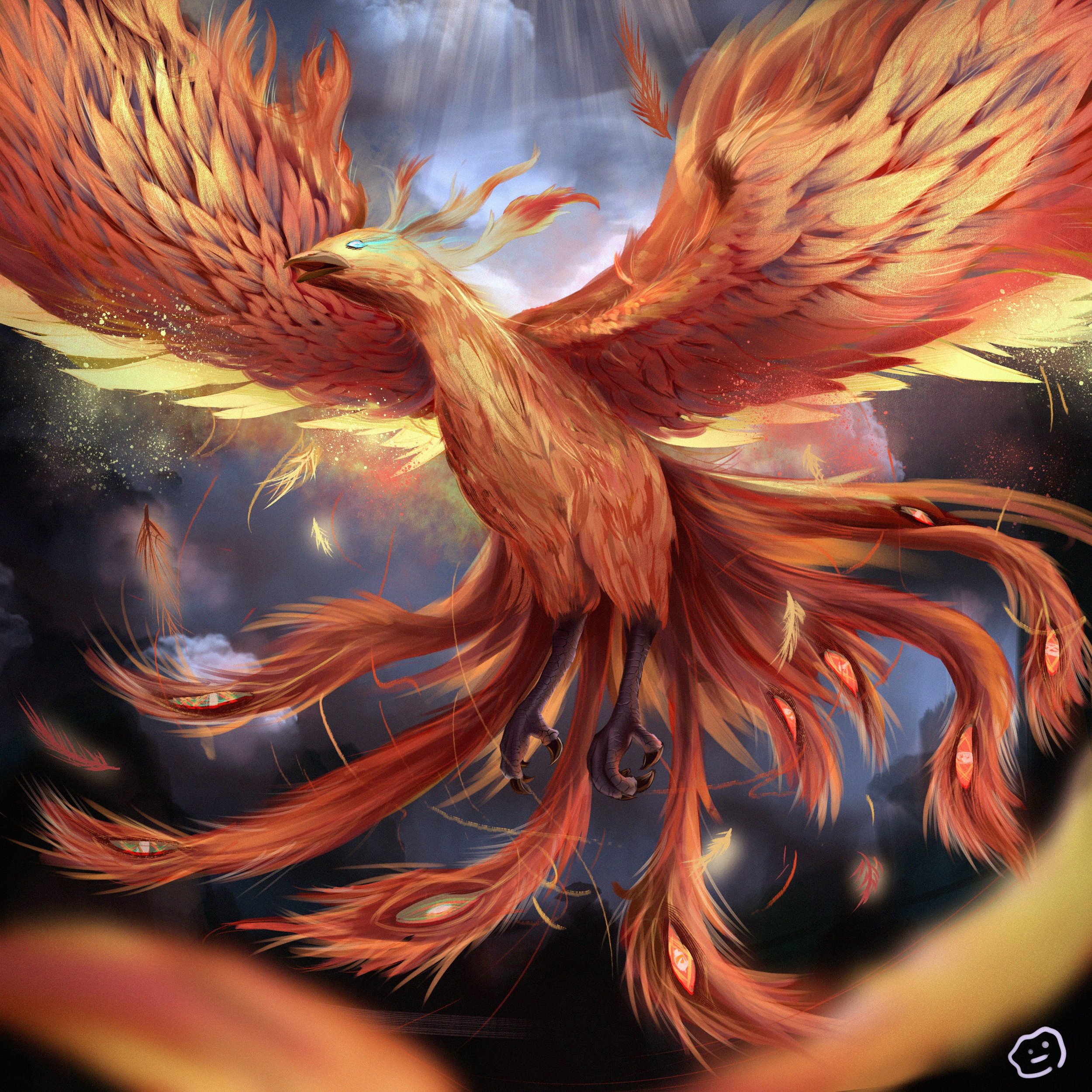 phoenix 3.jpg