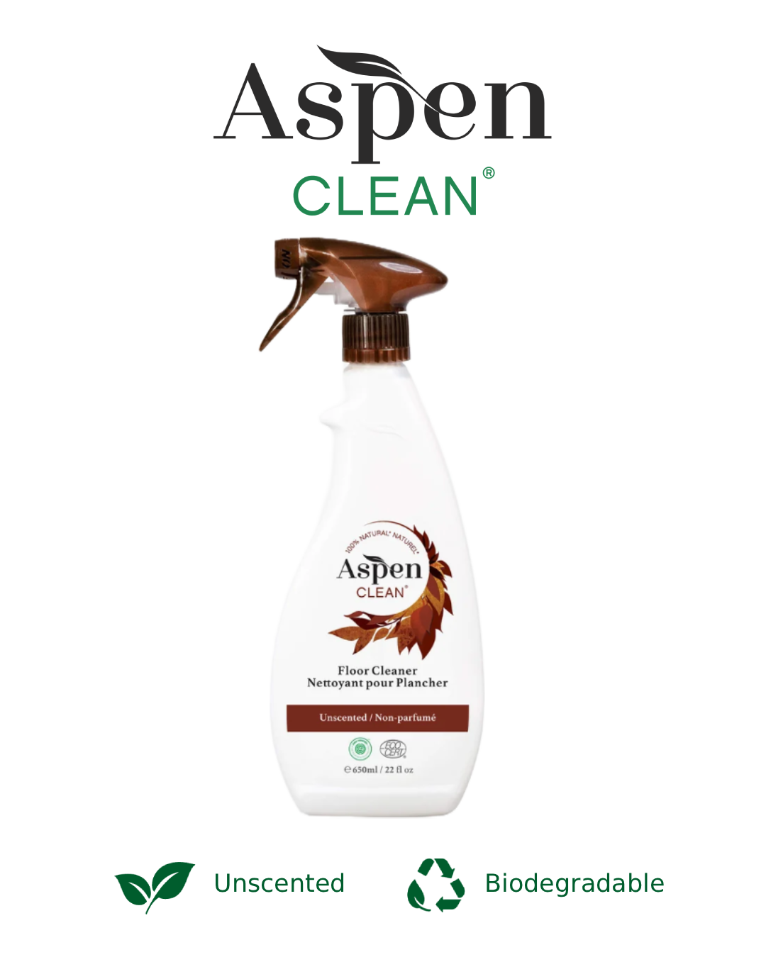 Floor Cleaning