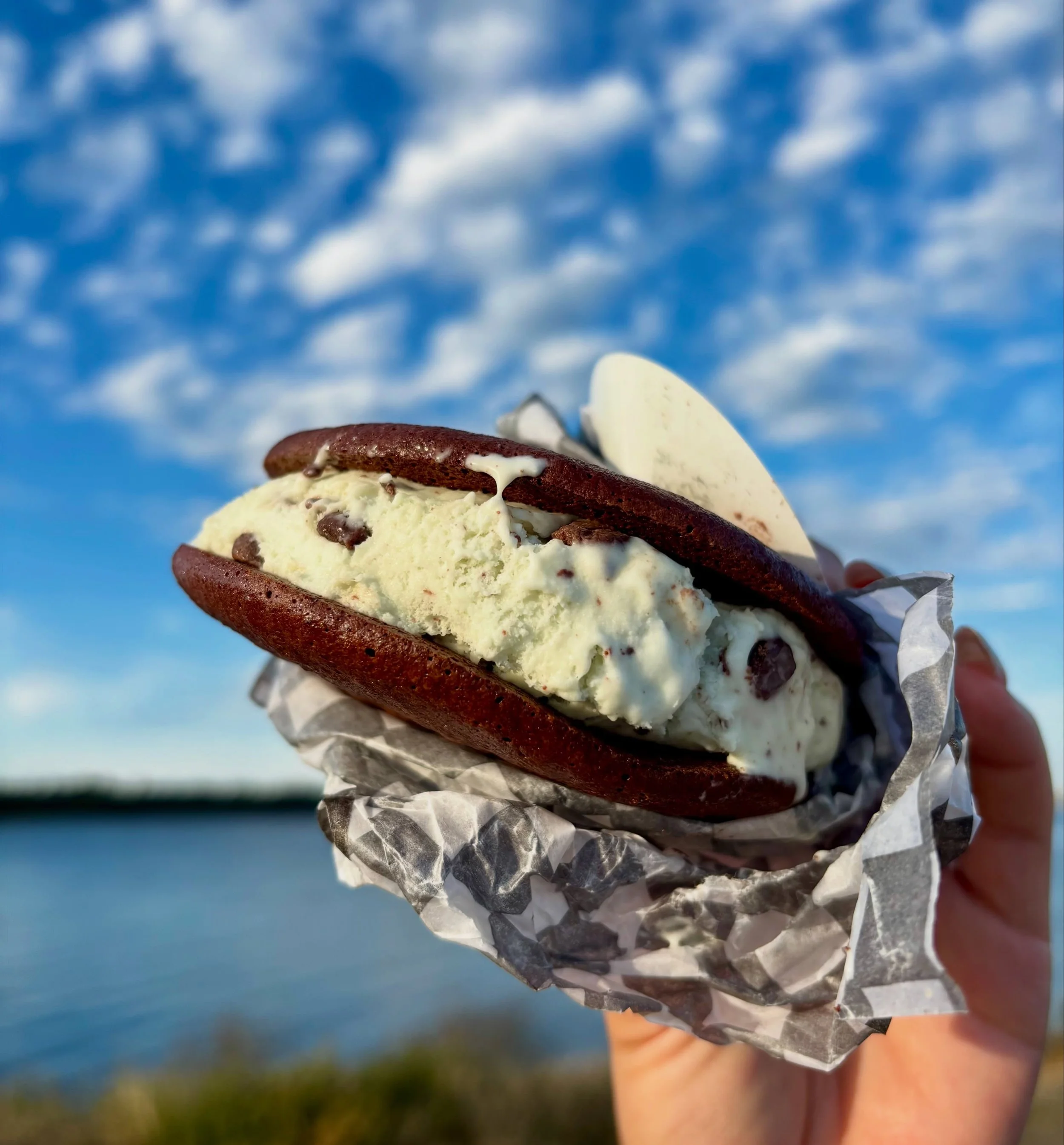 Yes, really. 👀

Our ice cream sandwiches are gluten-free, dairy-free, and handcrafted in-house ✨ Featured here is our Mint Chip: rich chocolate dacquoise cookies filled with our small-batch plant-based mint chip ice cream, studded with chocolate chi