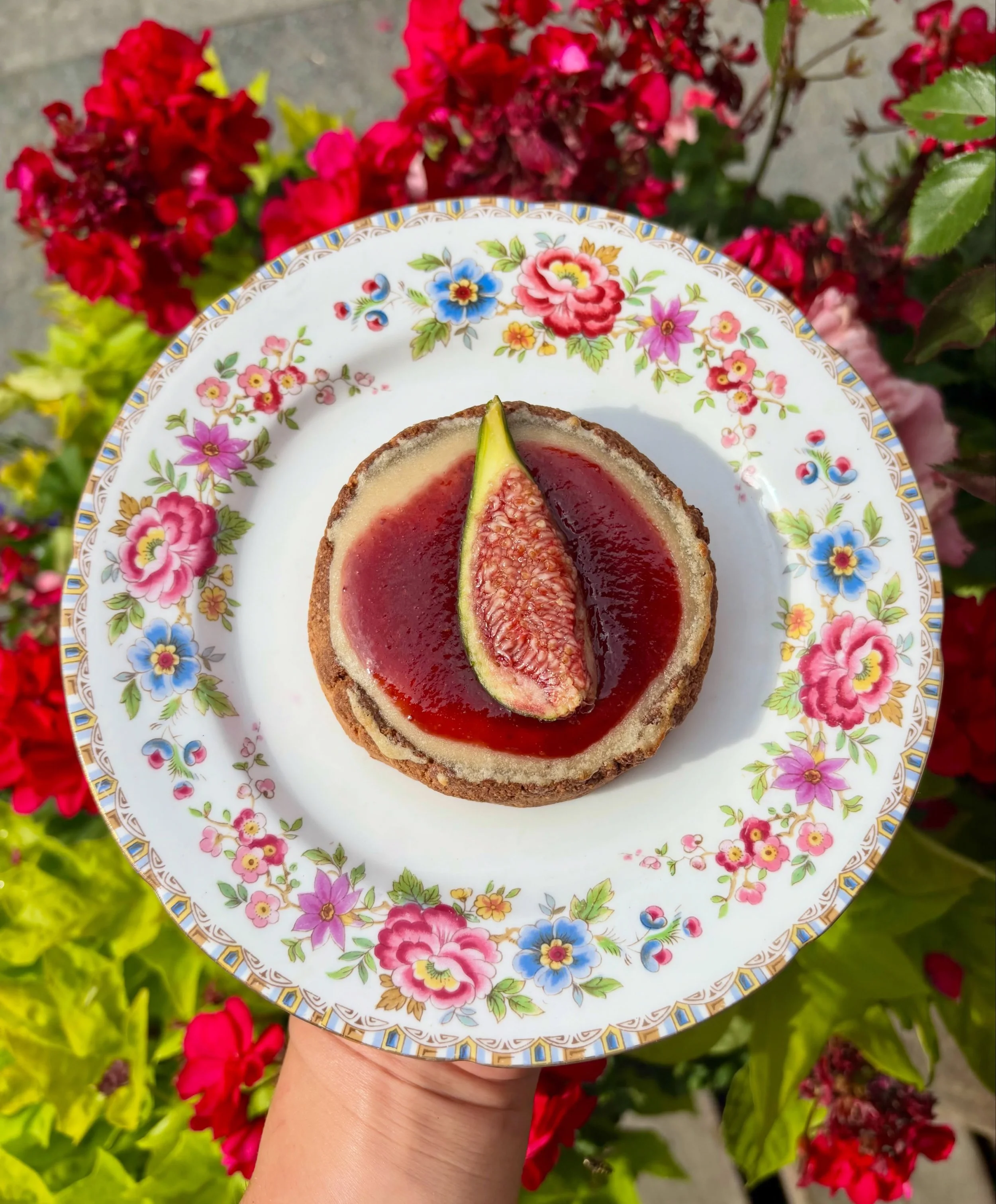Strawberry Rhubarb Tarts with Fresh Figs ✨

🌿 Figs courtesy of @ballisticdesign 

Gf &amp; vegan