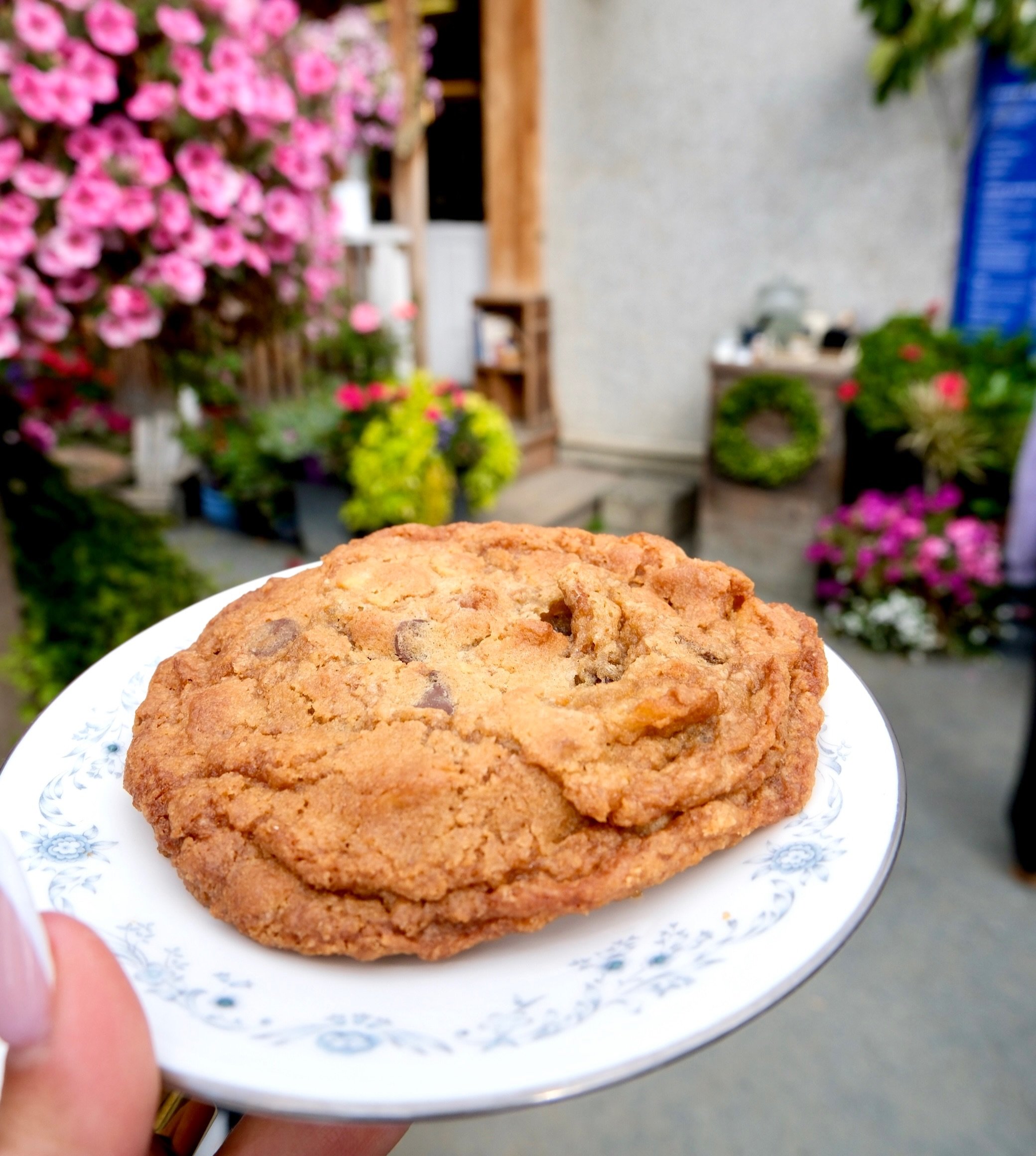 Guess who&rsquo;s BACK?! 📣 announcing the return of the COMPOST COOKIE 👀

This bad boy is a staff favourite, fully loaded with everything but the kitchen sink. Chips, pretzels, chocolate chips, espresso, and that beautiful buttery, caramel texture 
