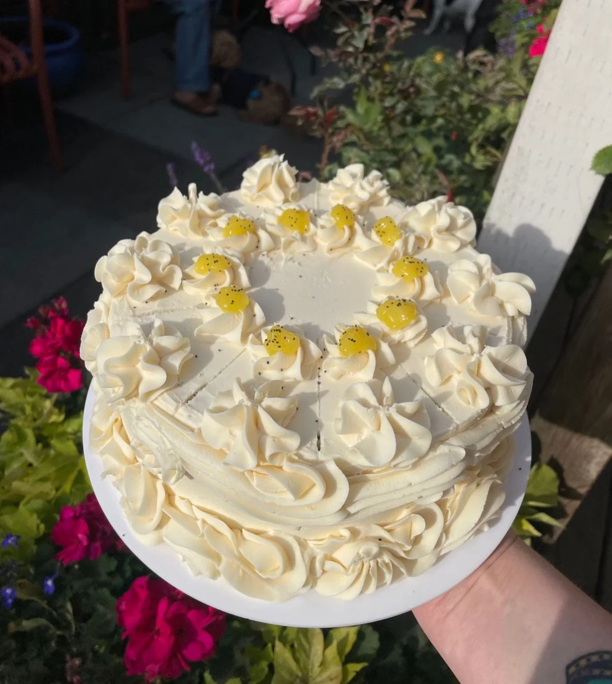 Lemon Poppyseed ✨by the slice 

Discover what we&rsquo;re slicing today on our specials board 🤗