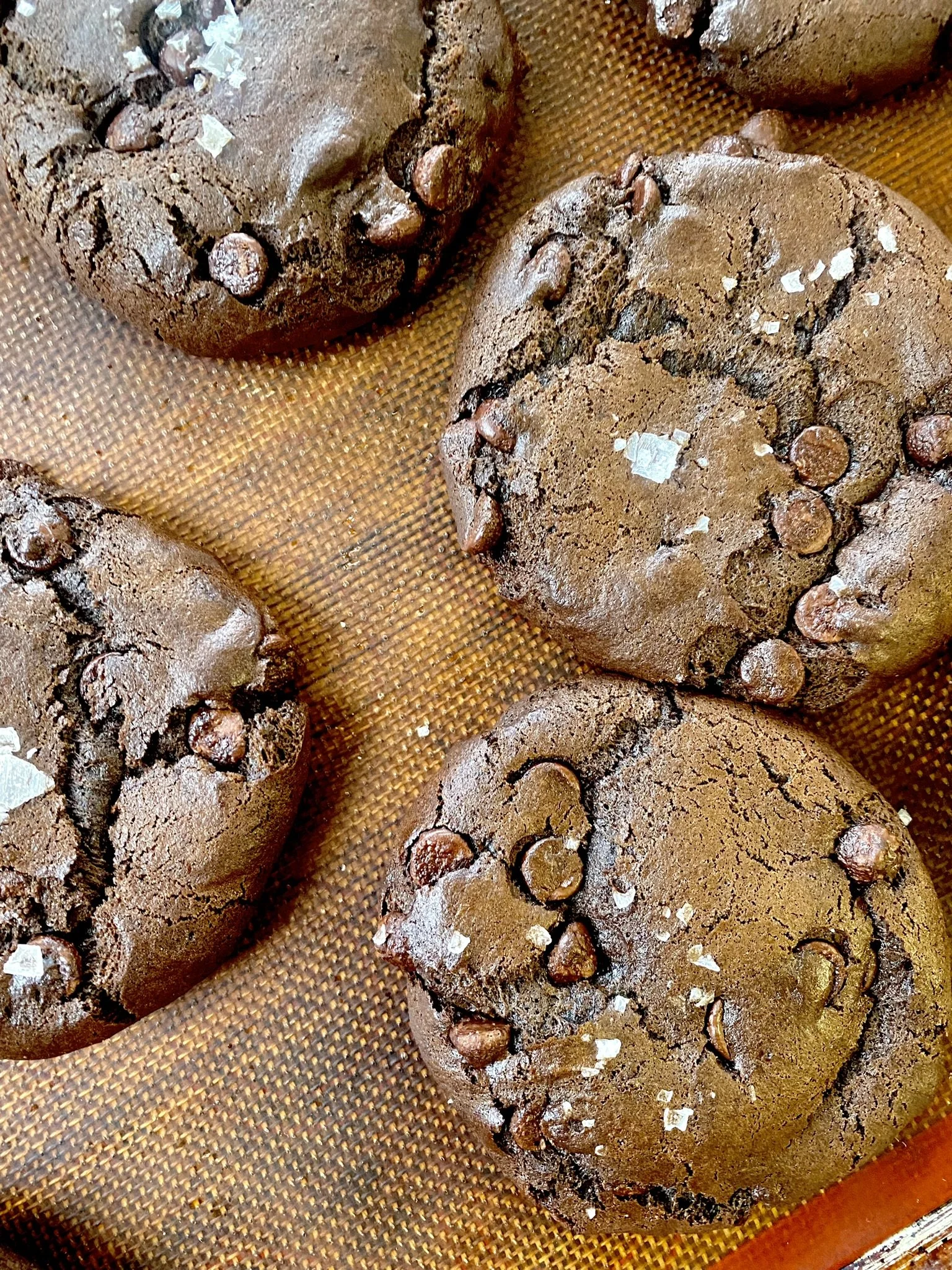Double Chocolate Sea Salt Cookies
