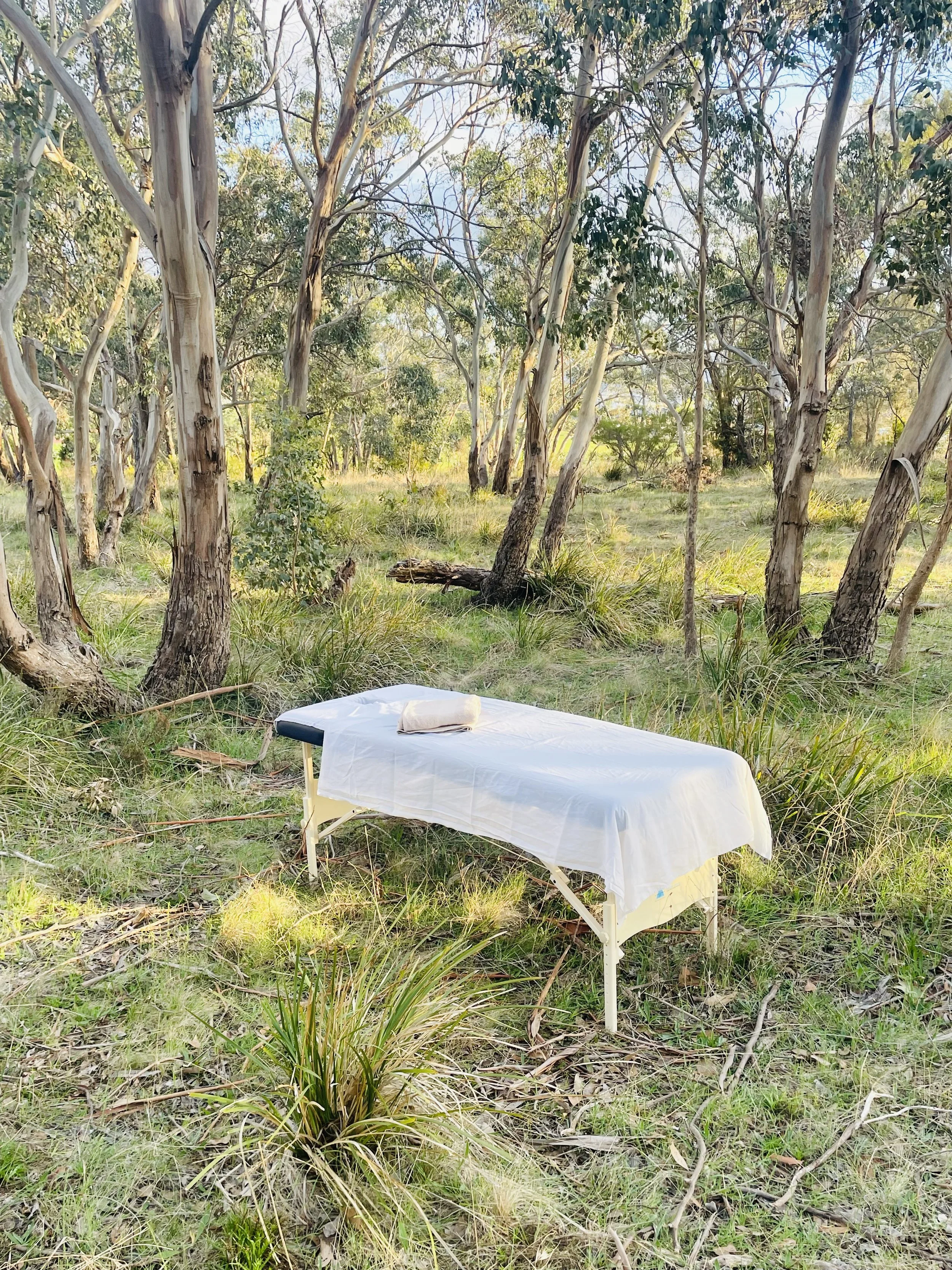 A massage table with a white sheet and pillow in a forest clearing among trees and grass.