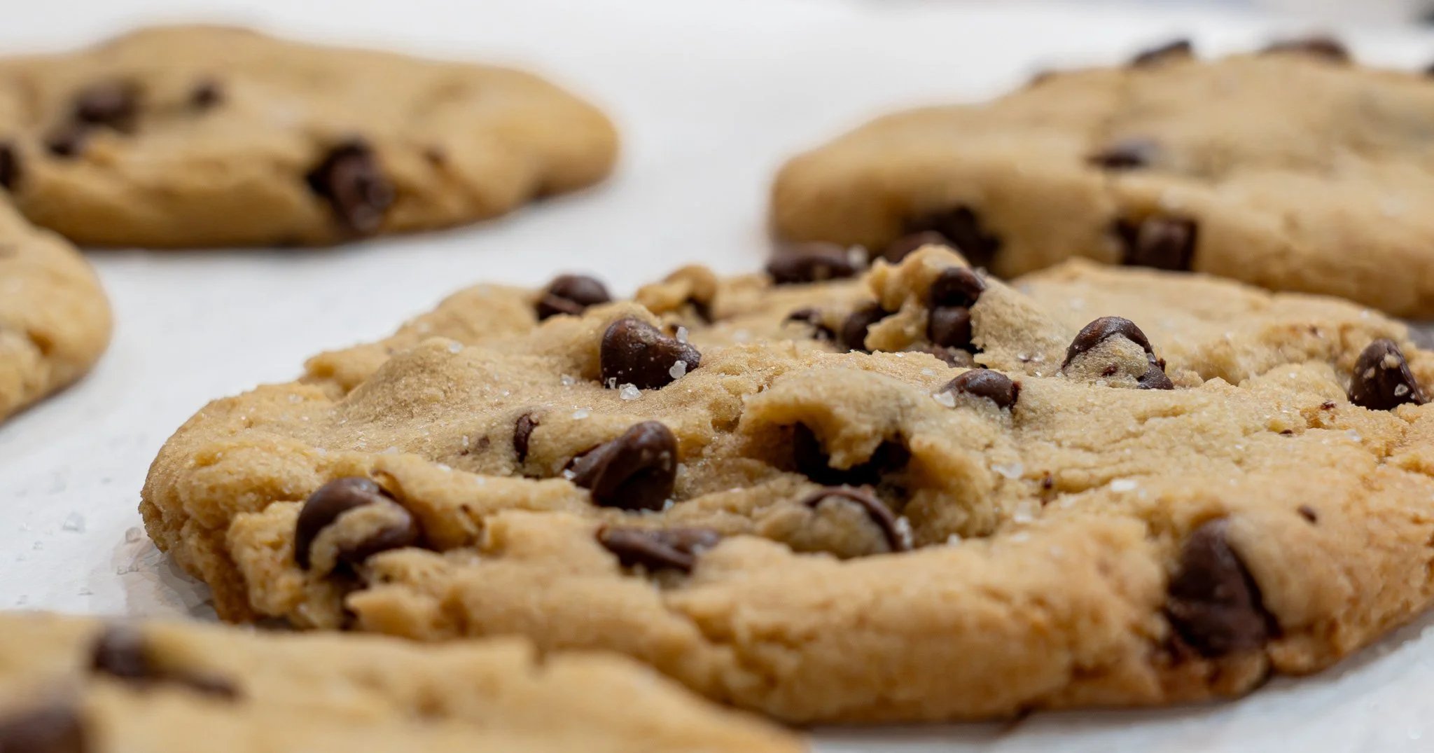 Chocolate Chip