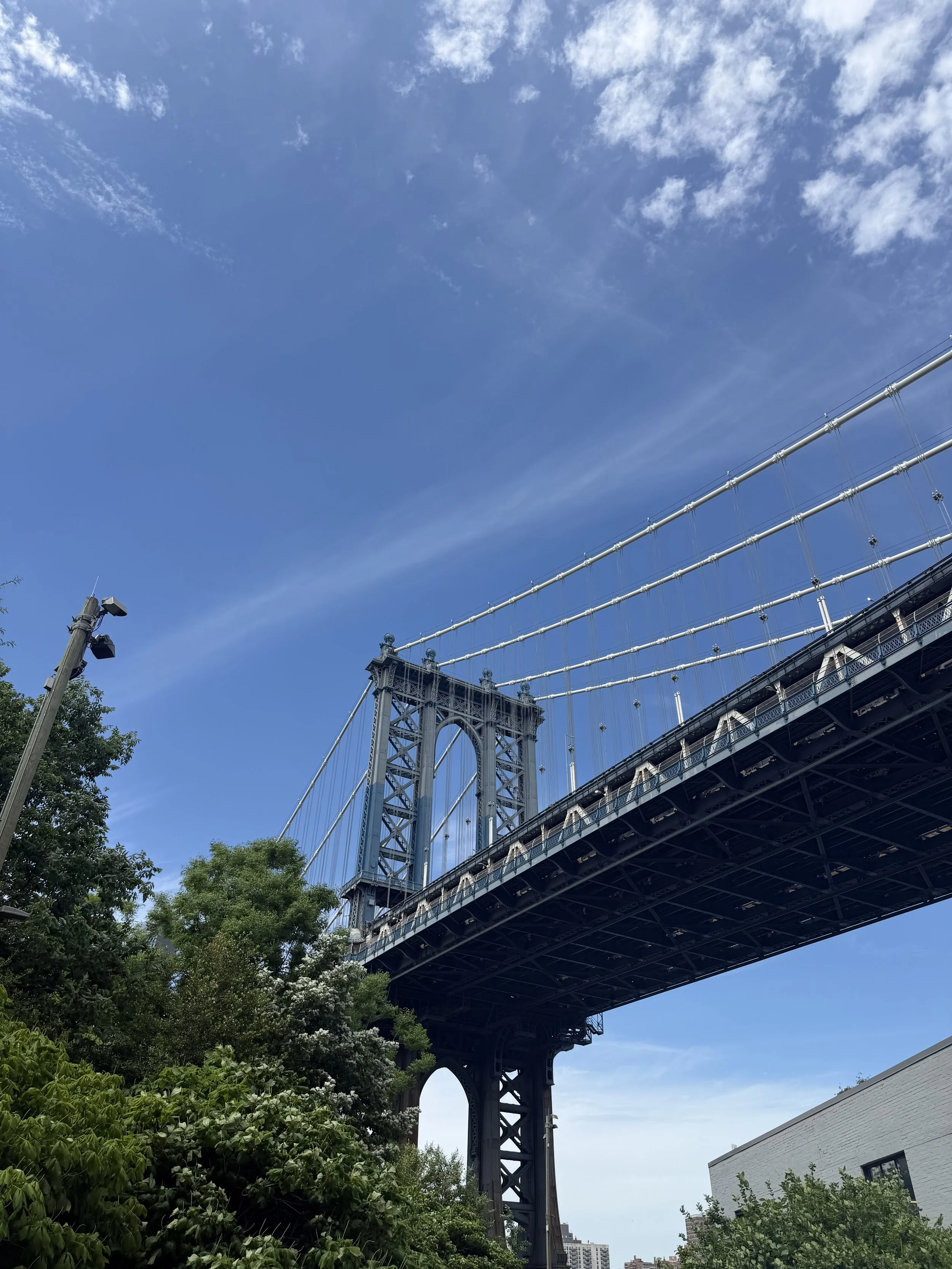 IMG_9582.jpeg