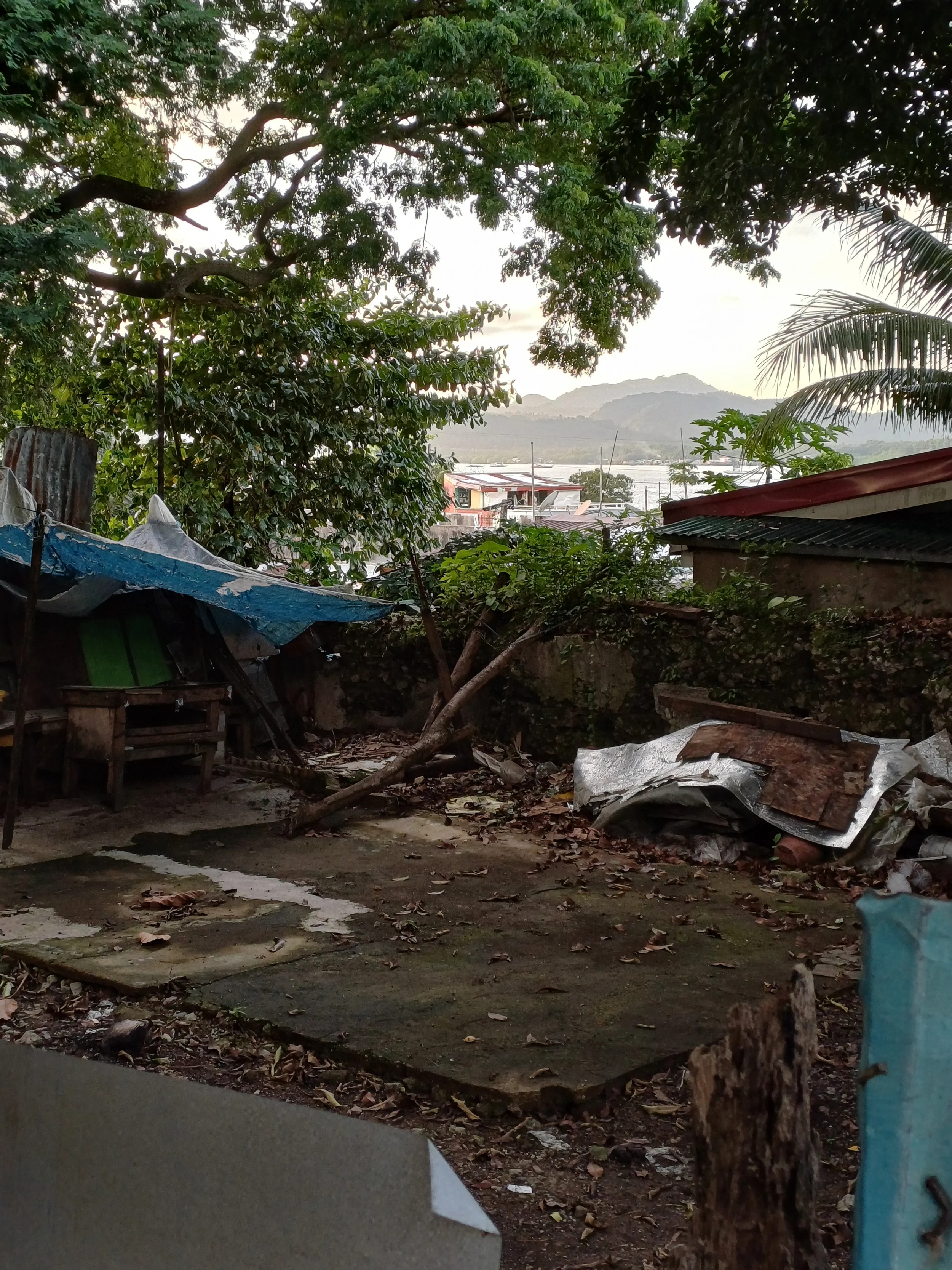 A backyard with overgrown trees and foliage, some scattered debris and old makeshift structures made of wood and metal sheets, overlooking a body of water and distant mountains in the background.