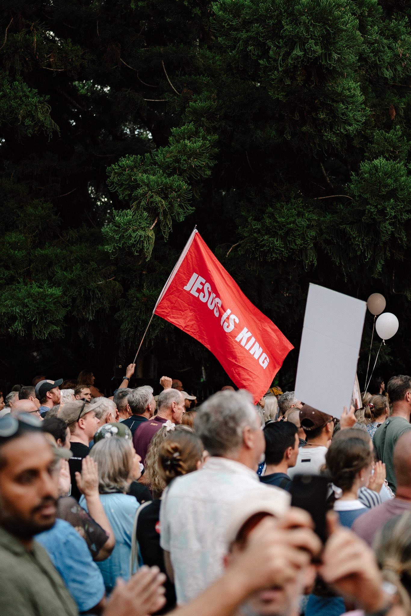 A large crowd of people gathered outdoors under trees, holding protest signs and flags. One prominent red flag reads 'JESUS IS KING.'