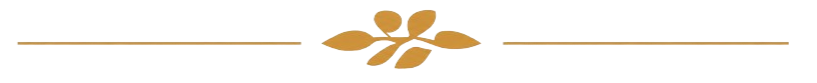 A decorative horizontal line with brown and gold leaves and streaks.