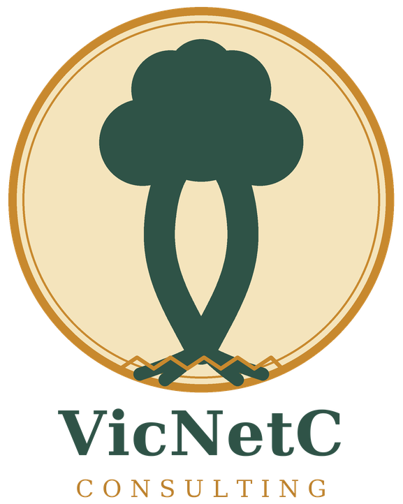  VicNetC Consulting