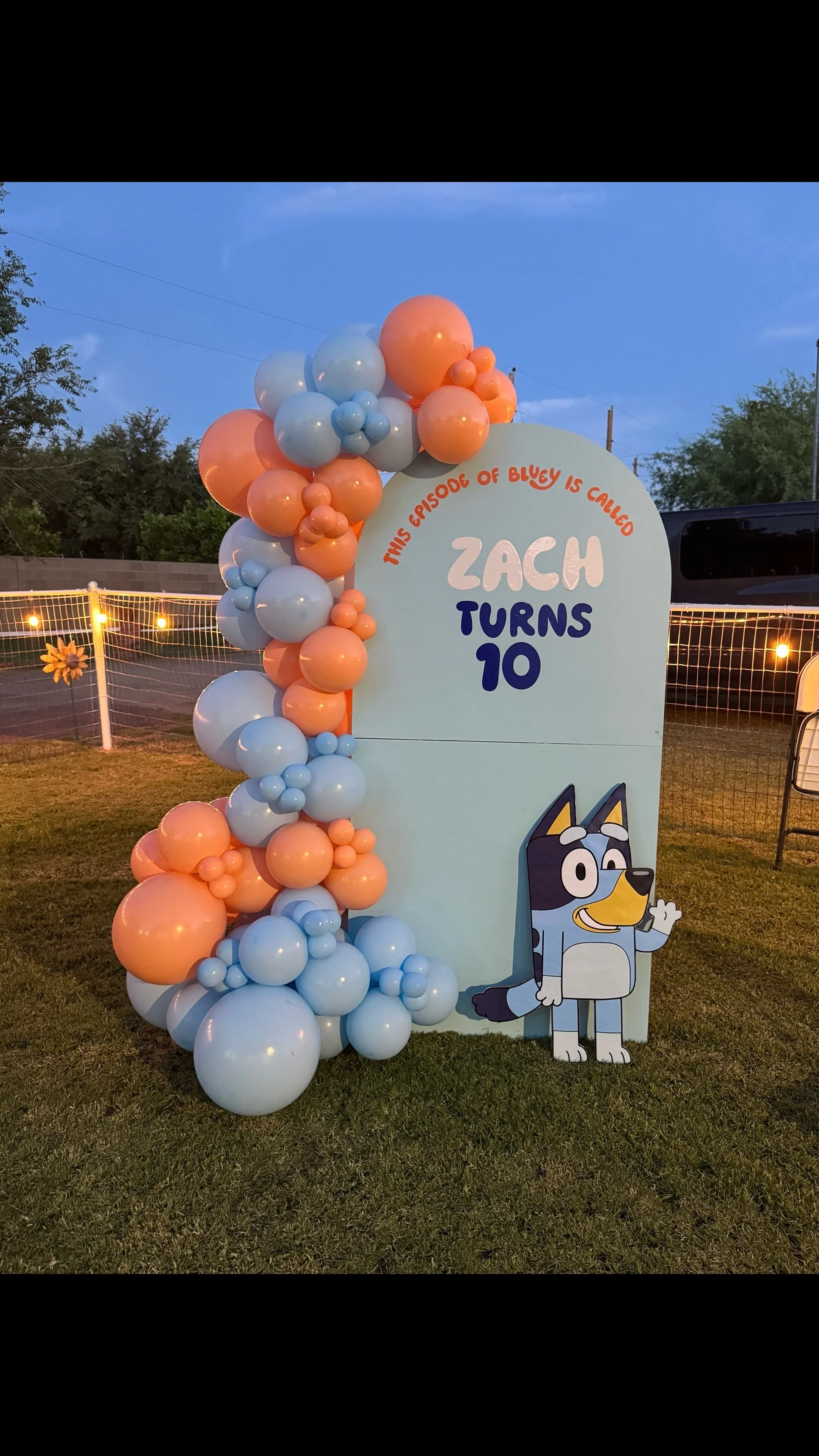 "This episode of Bluey is called Zach Turns 10" Bluey prop and Blue & orange balloons for this birthday celebration
